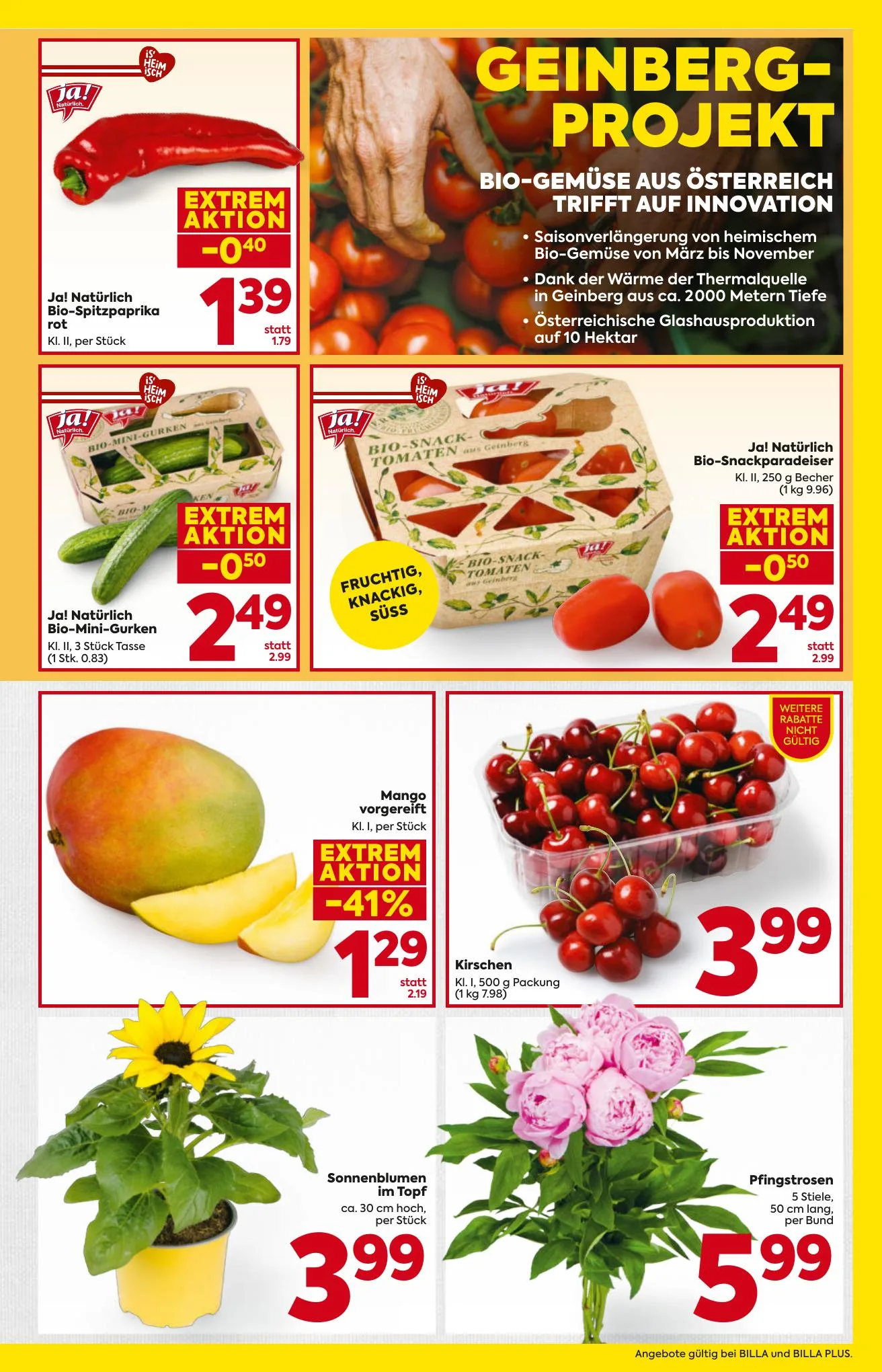 Billa akciós újság And Billa Plus Ausztria 05.21–05.27 – 5. oldal