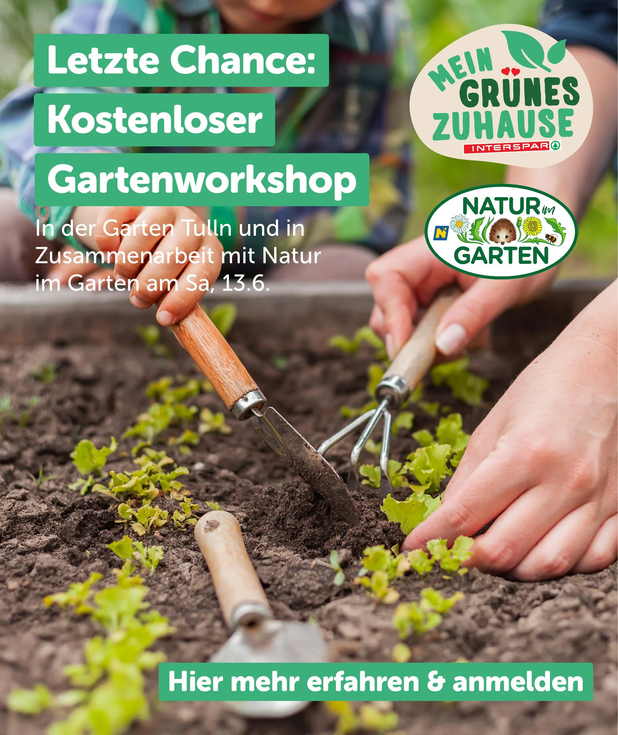Interspar akciós újság Ausztria 05.21–06.02 – 3. oldal