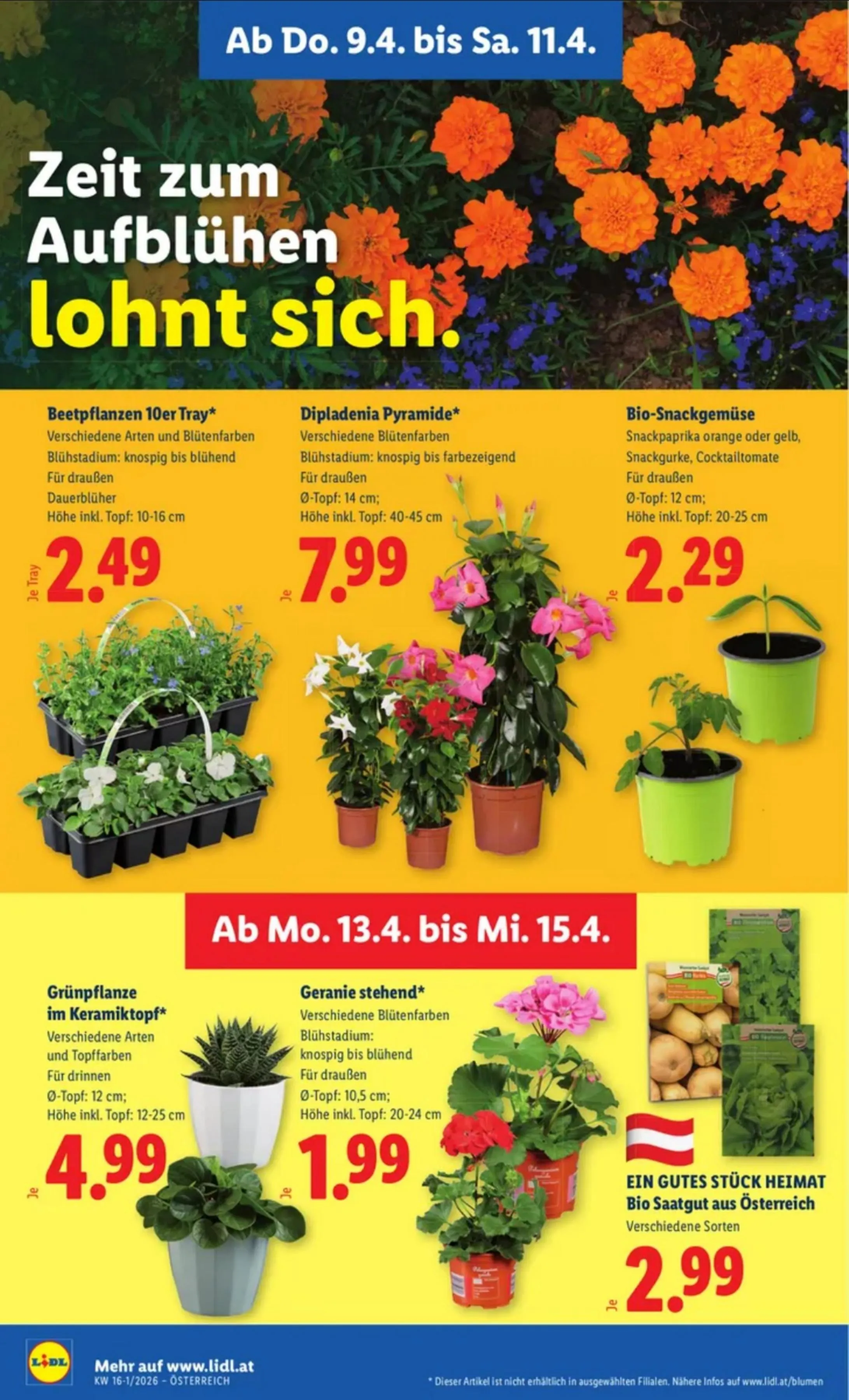 Lidl akciós újság Ausztria 04.09–04.15 – 28. oldal