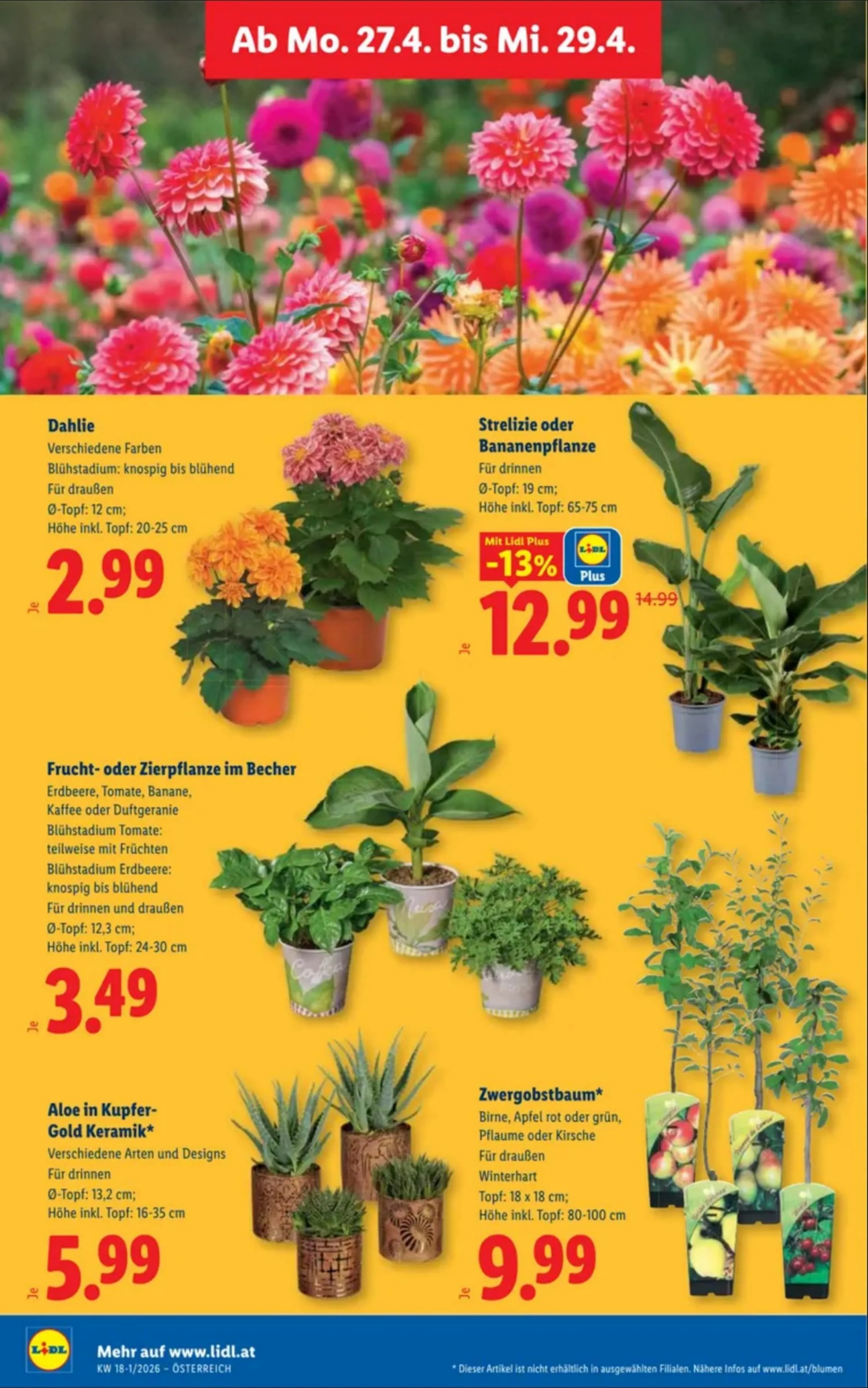 Lidl akciós újság Ausztria 04.23–04.29 – 35. oldal