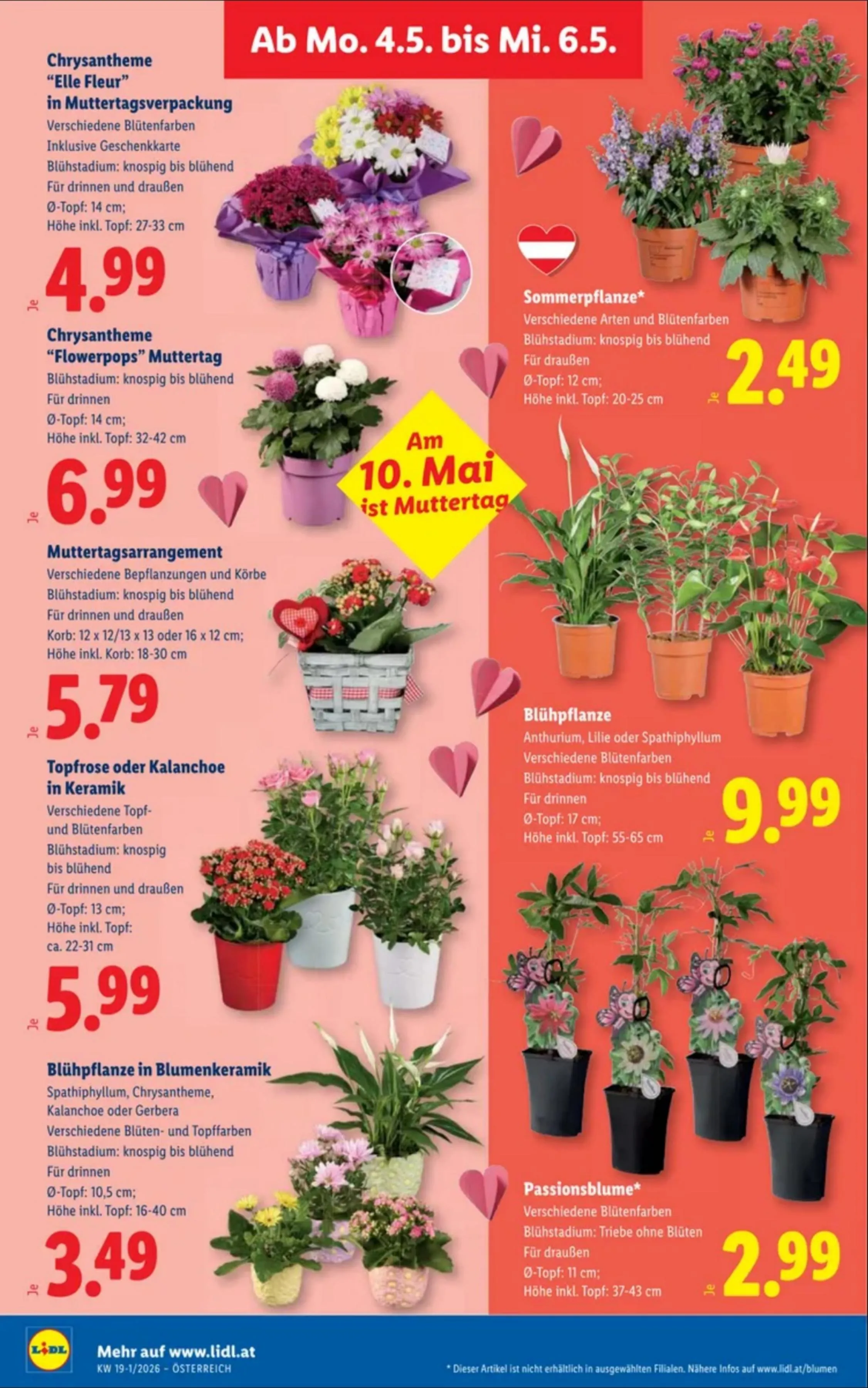 Lidl akciós újság Ausztria 04.30–05.06 – 29. oldal