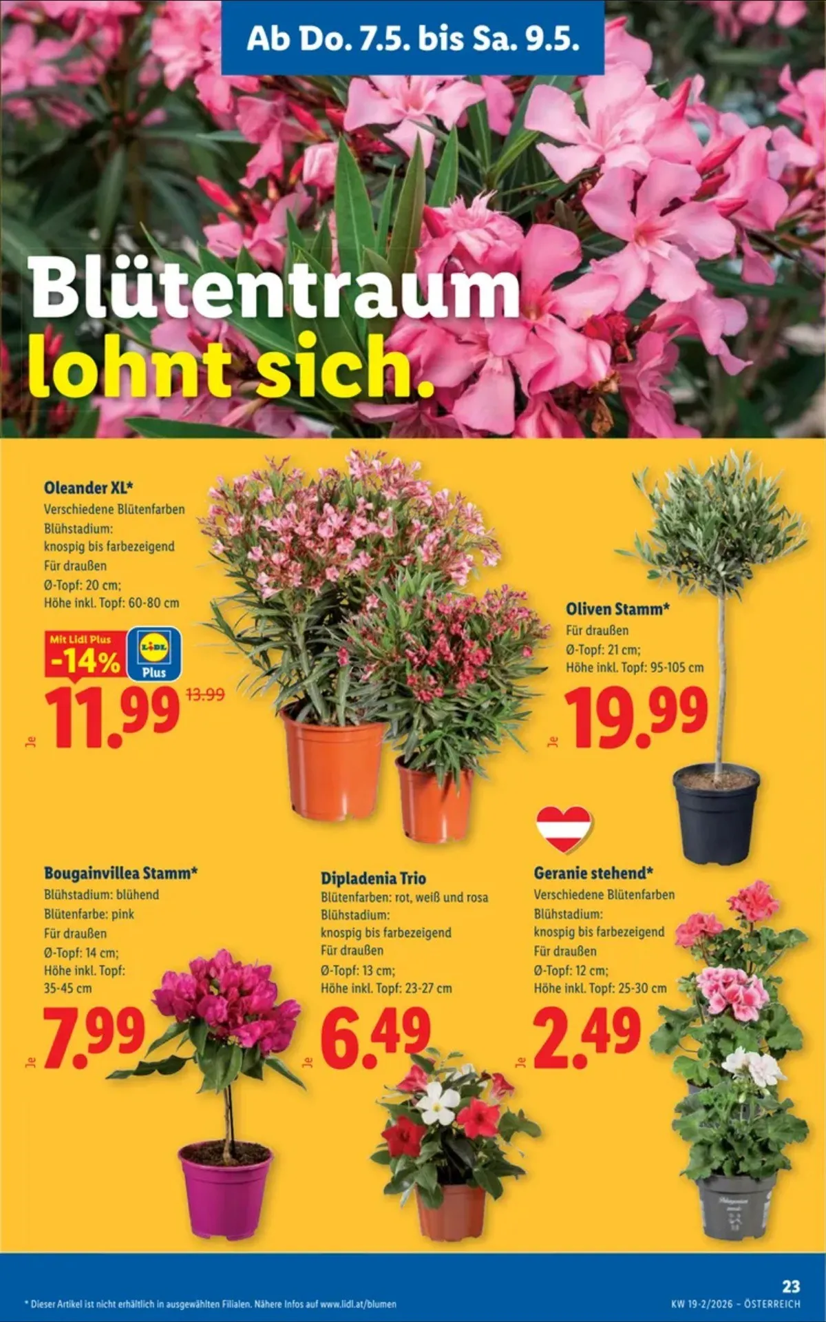 Lidl akciós újság Ausztria 05.07–05.13 – 25. oldal