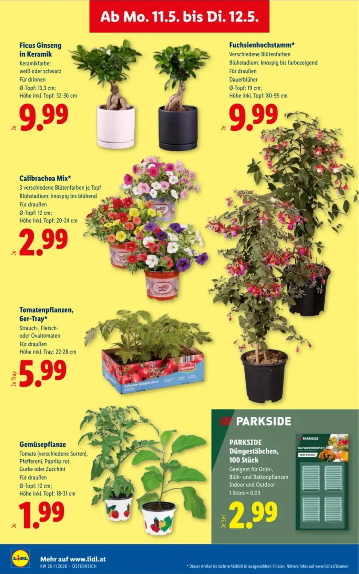 Lidl akciós újság Ausztria 05.07–05.13 – 31. oldal