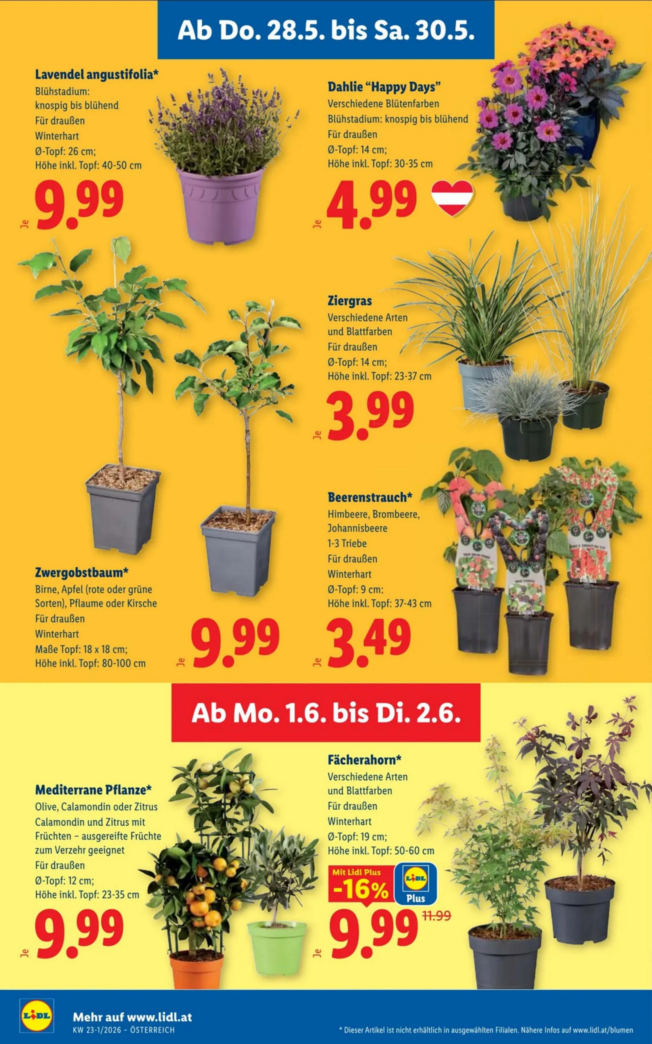 Lidl akciós újság Ausztria 05.28–06.02 – 28. oldal