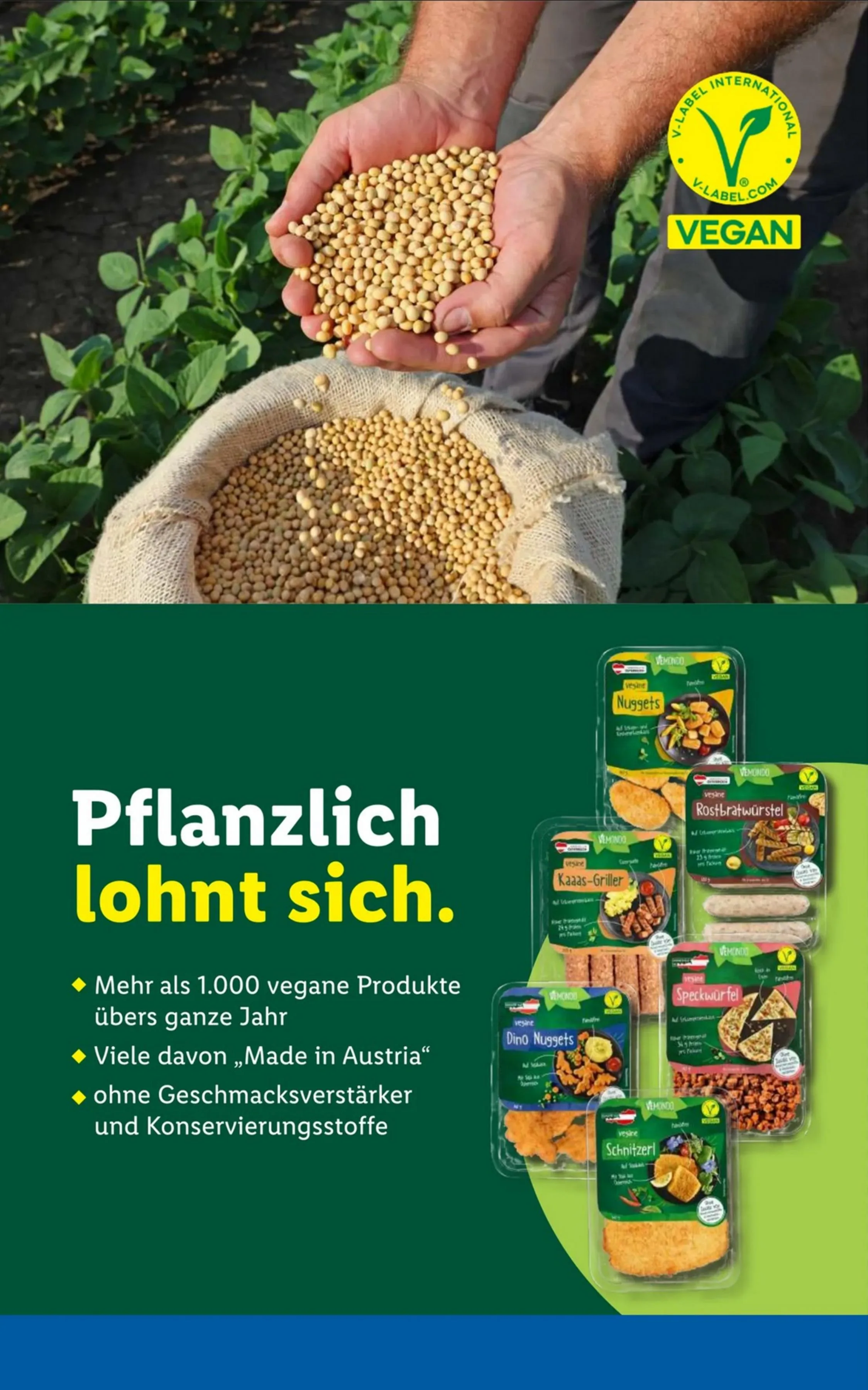 Lidl akciós újság Ausztria 05.28–06.02 – 52. oldal