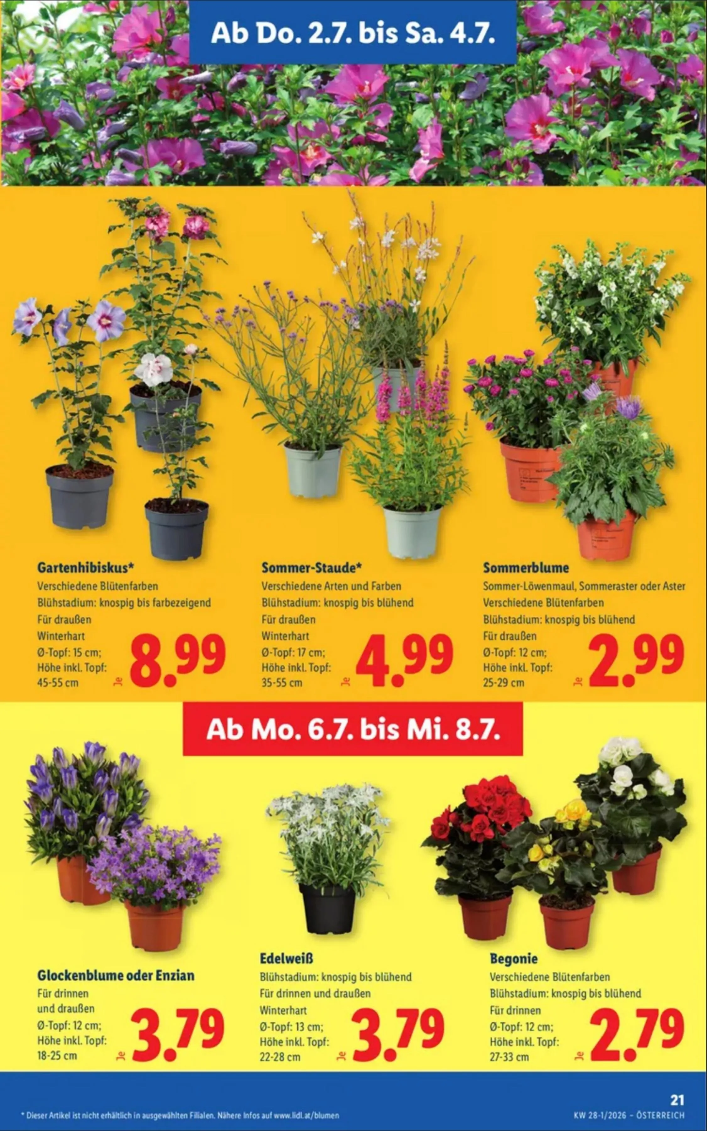 Lidl akciós újság Ausztria 07.02–07.08 – 25. oldal