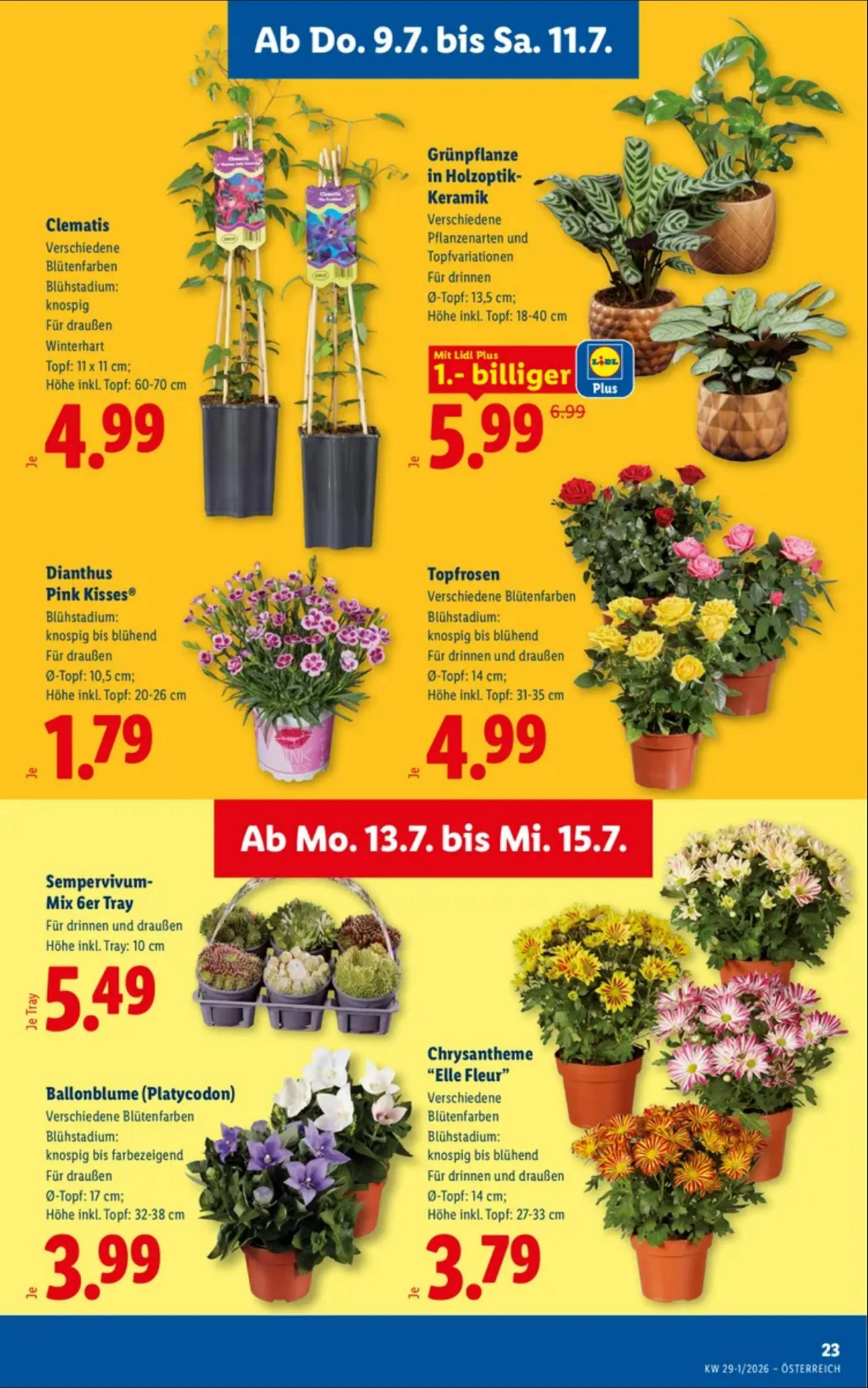 Lidl akciós újság Ausztria 07.09–07.15 – 27. oldal