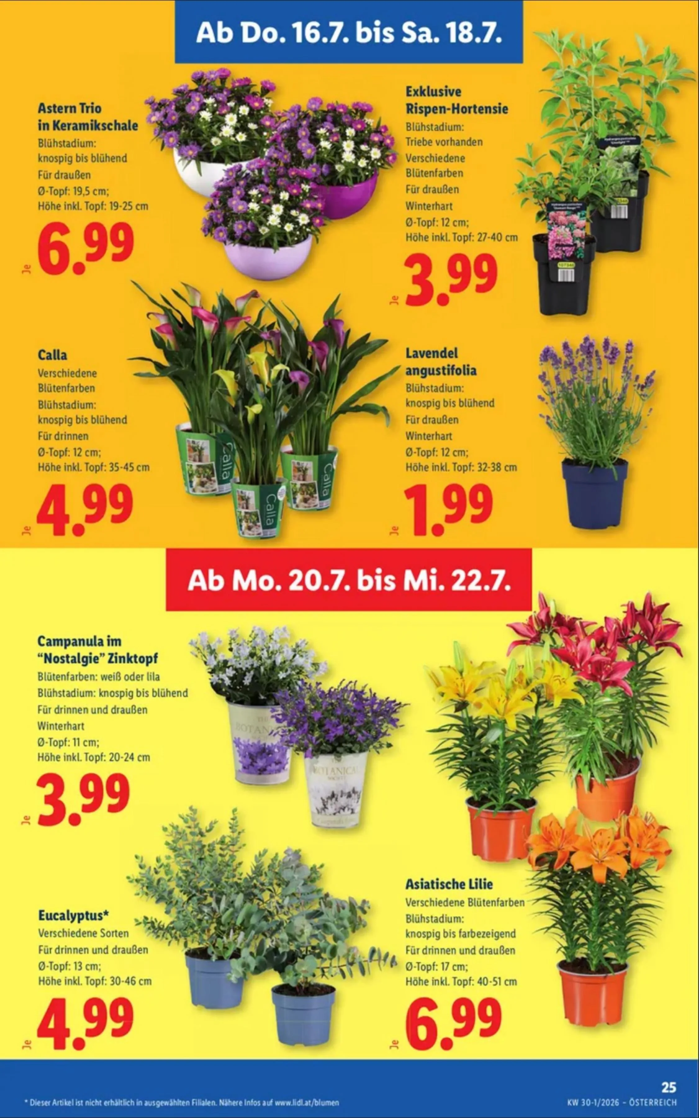Lidl akciós újság Ausztria 07.16–07.22 – 29. oldal