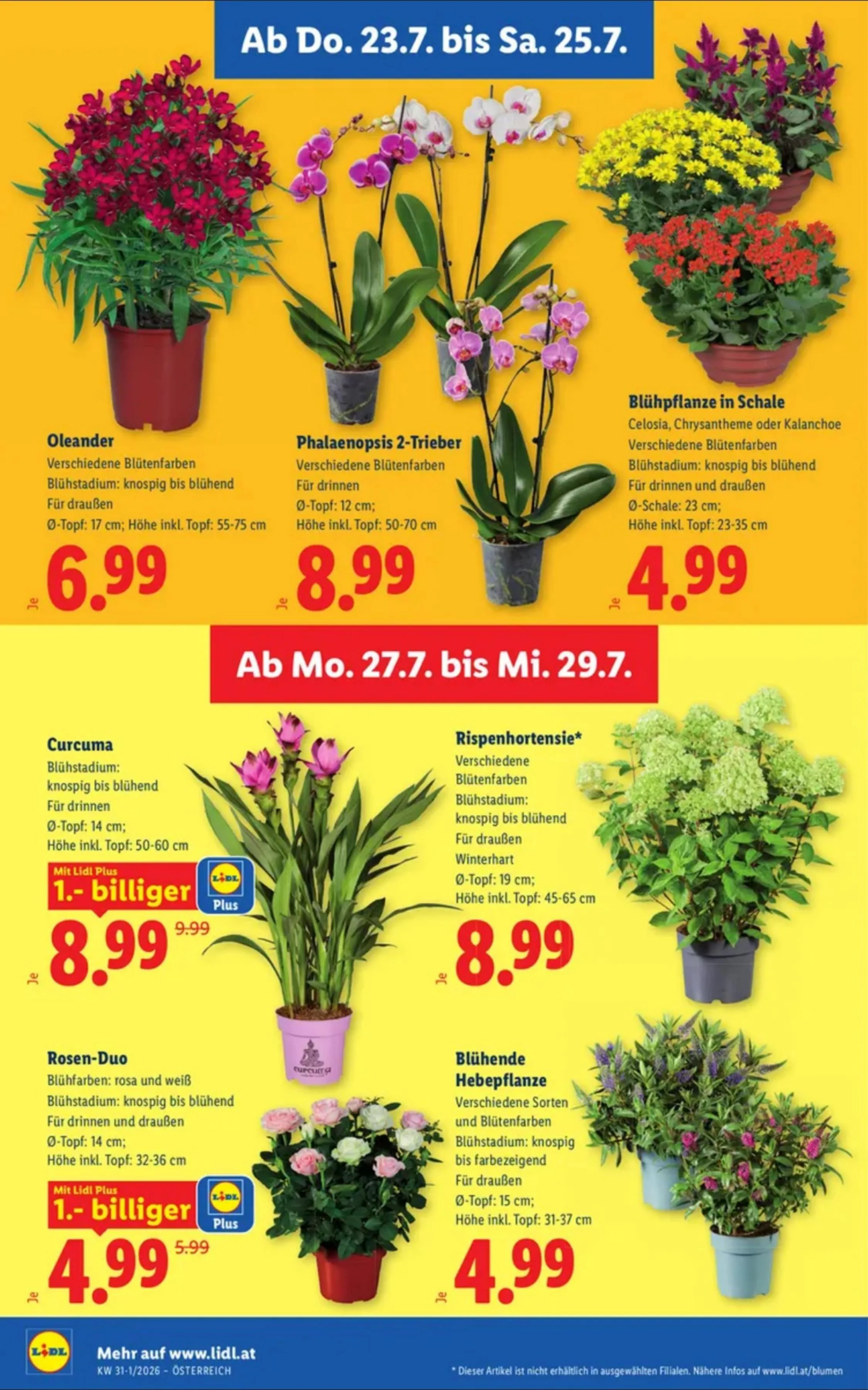 Lidl akciós újság Ausztria 07.23–07.29 – 30. oldal