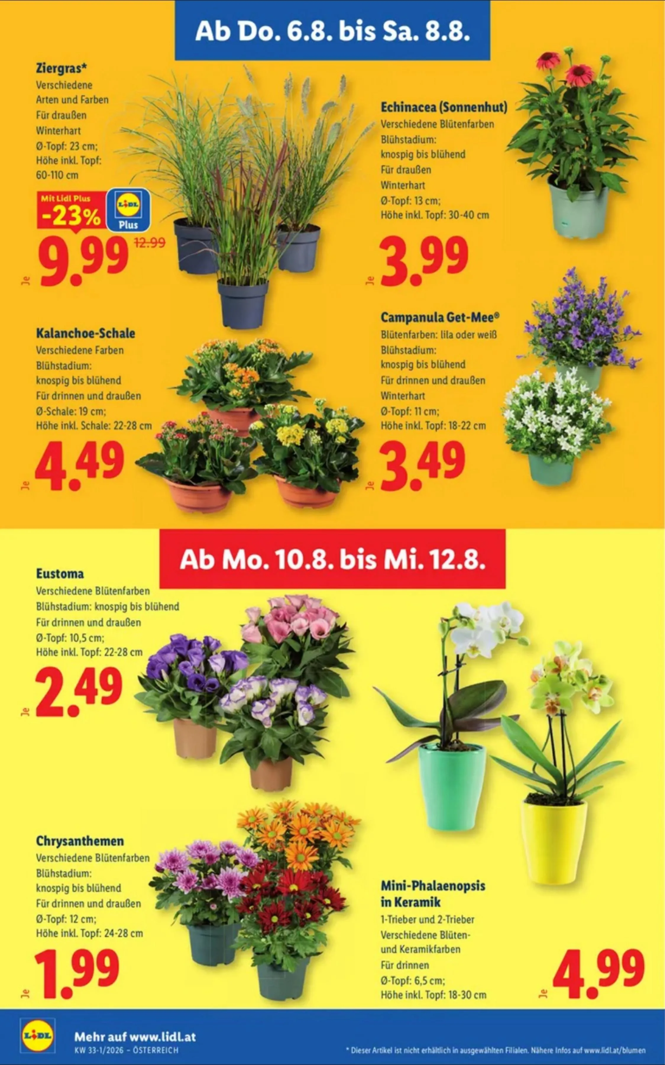 Lidl akciós újság Ausztria 08.06–08.12 – 30. oldal