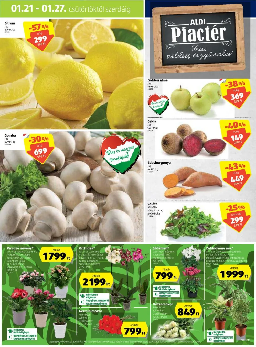 Aldi akciós újság 01.21–01.27 – 19. oldal