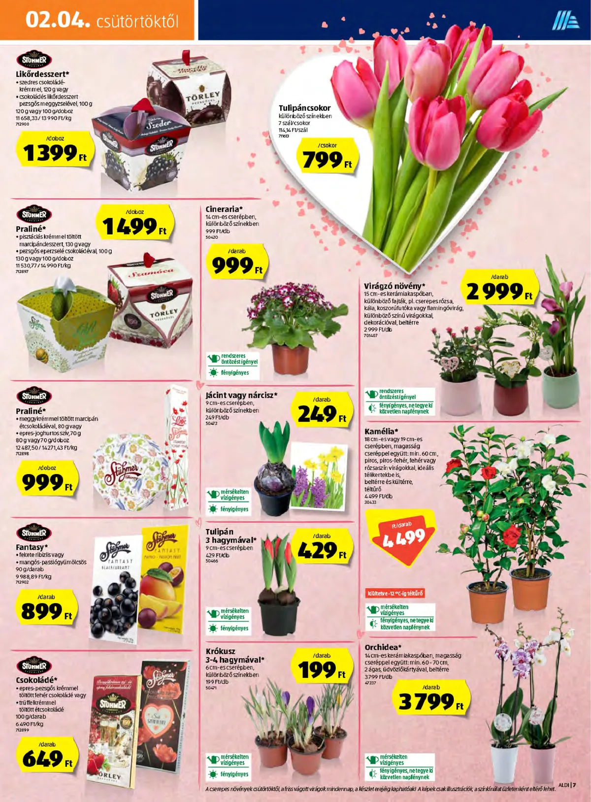 Aldi akciós újság 02.04–02.10 – 7. oldal