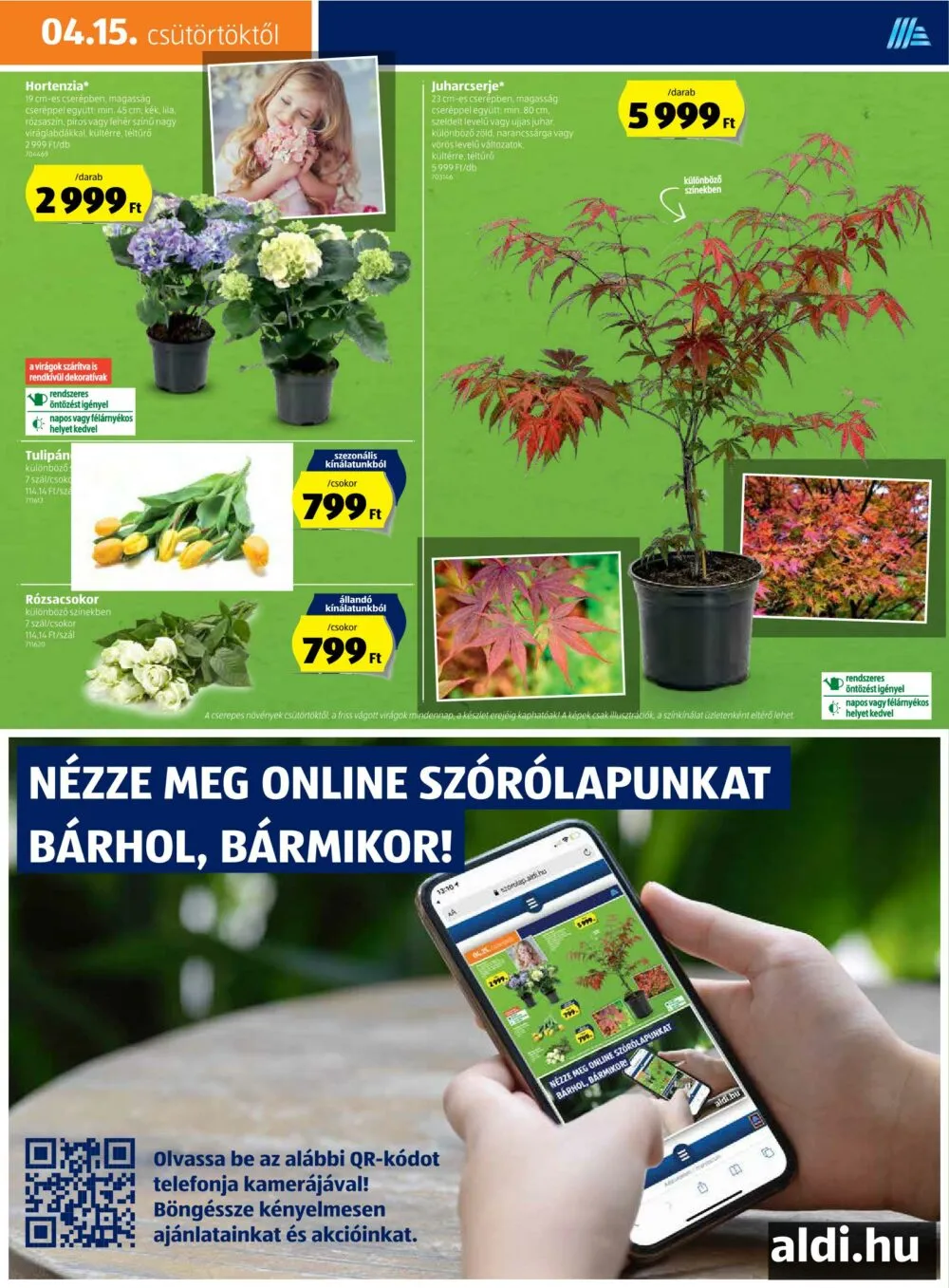 Aldi akciós újság 04.15–04.21 – 13. oldal
