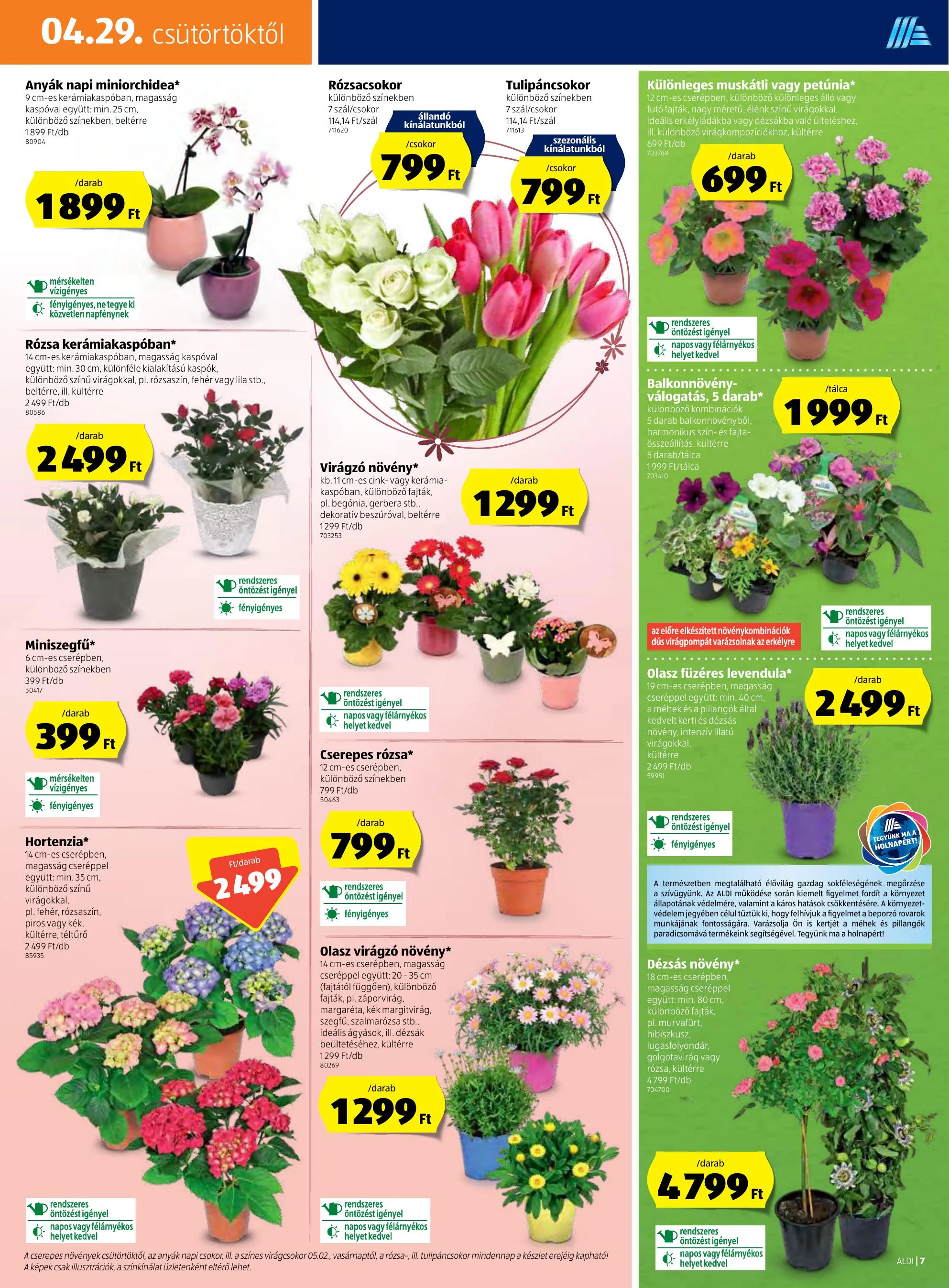 Aldi akciós újság 04.29–05.05 – 7. oldal