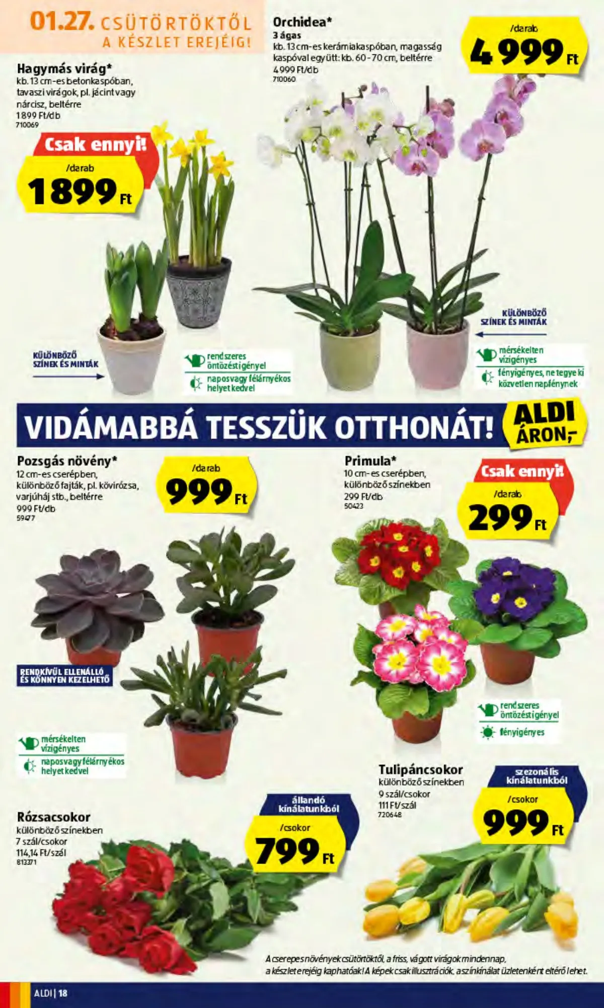 Aldi akciós újság 01.27–02.02 – 18. oldal