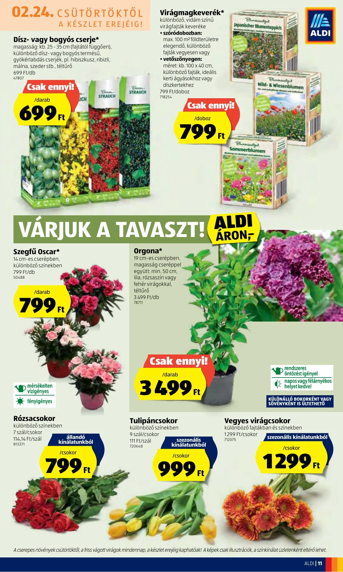 Aldi akciós újság 02.24–03.02 – 11. oldal