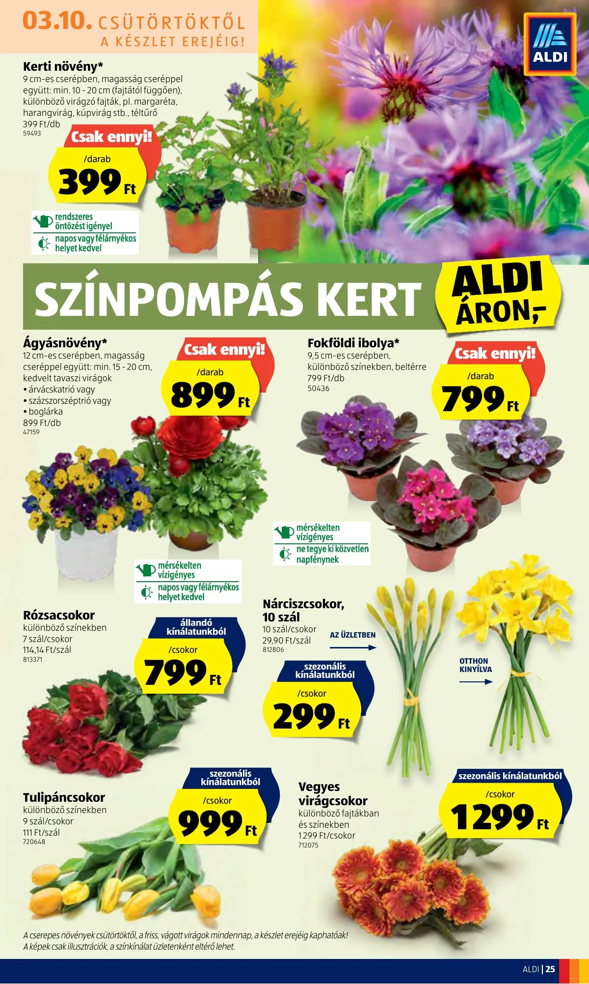 Aldi akciós újság 03.10–03.16 – 25. oldal