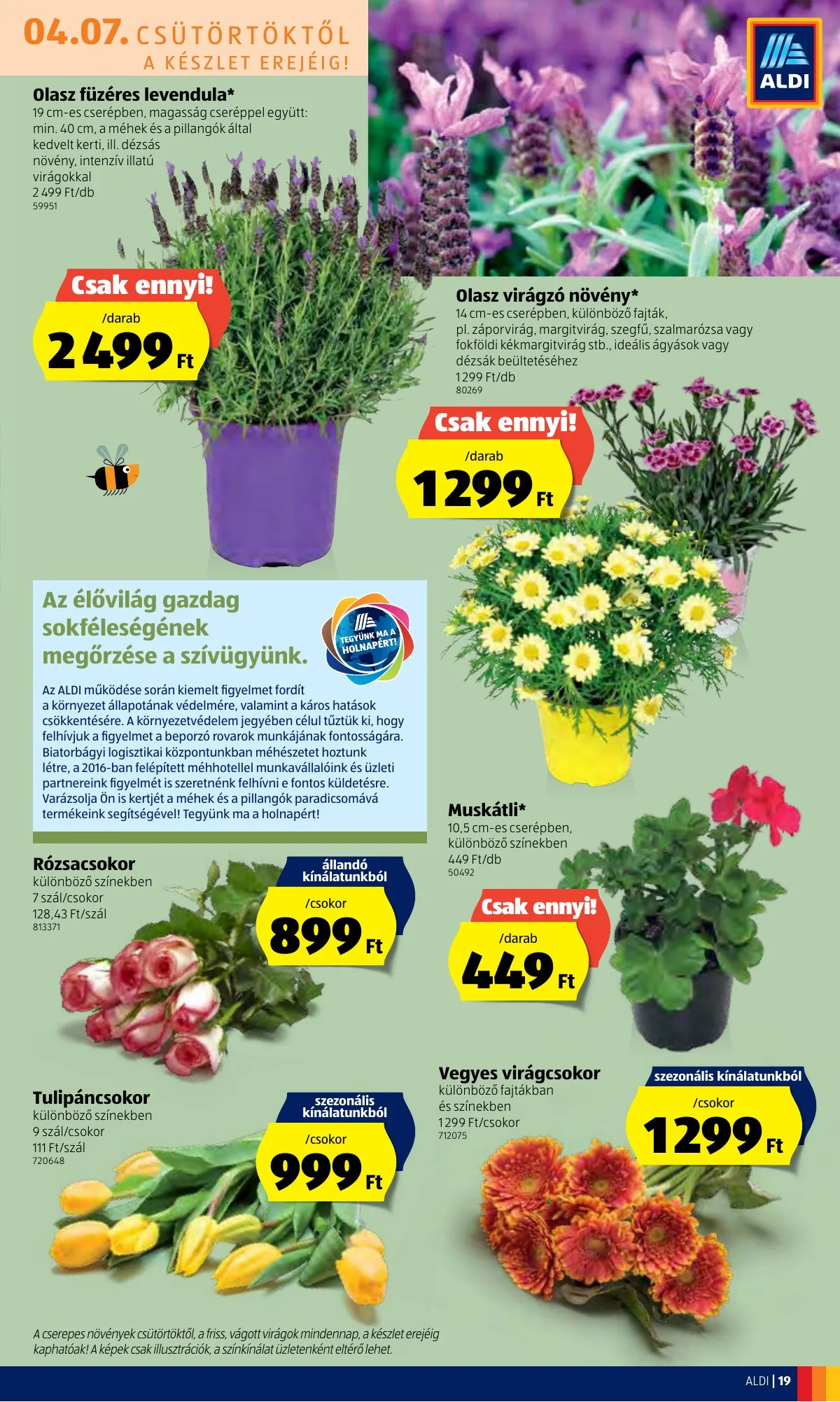 Aldi akciós újság 04.07–04.16 – 19. oldal