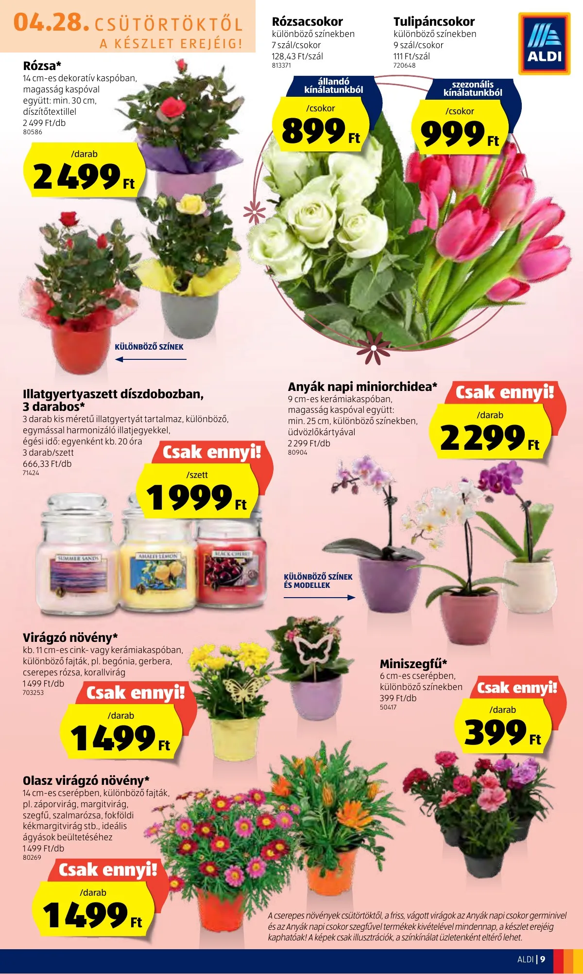 Aldi akciós újság 04.28–05.04 – 9. oldal