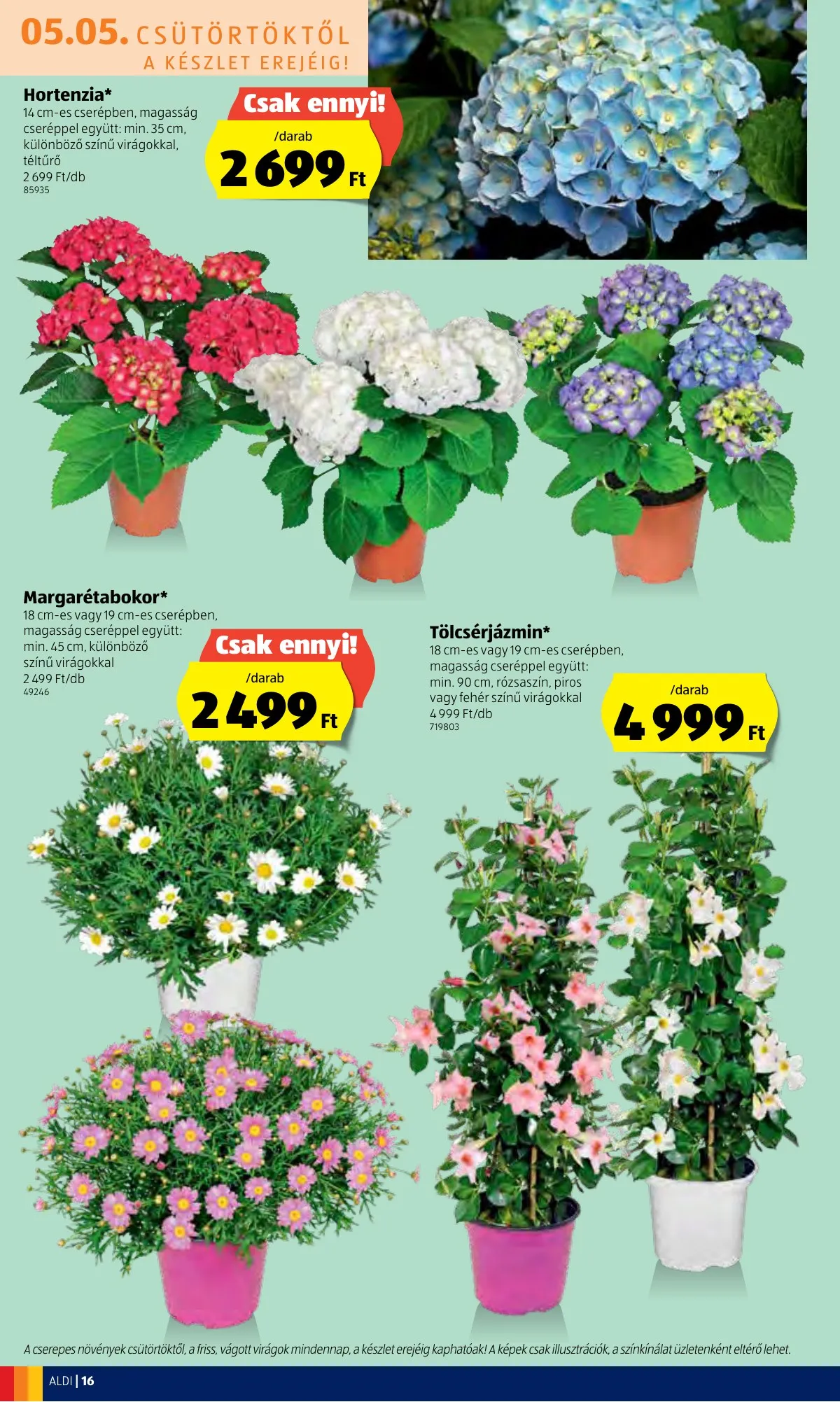 Aldi akciós újság 05.05–05.11 – 16. oldal