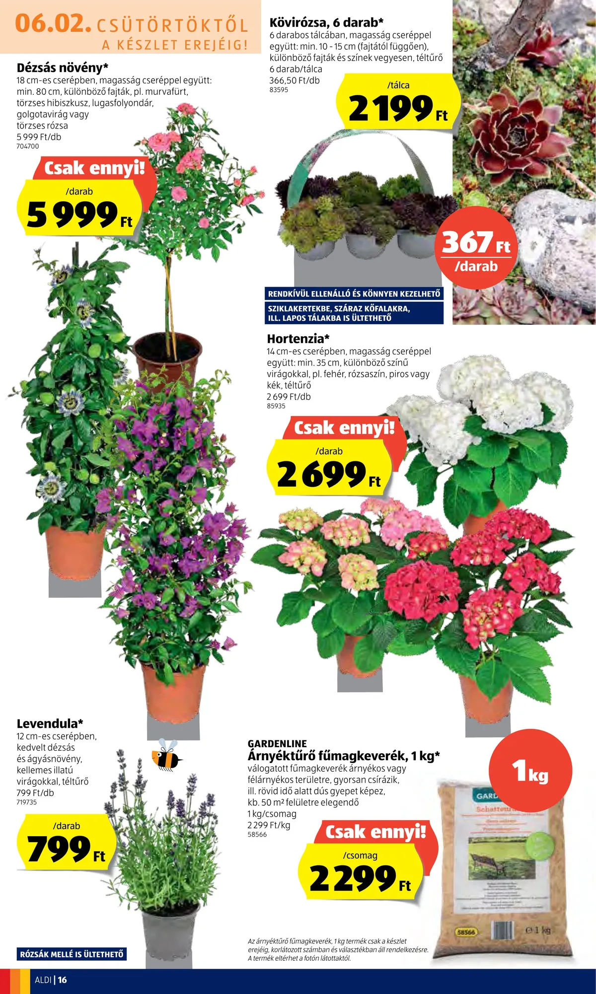 Aldi akciós újság 06.02–06.08 – 16. oldal