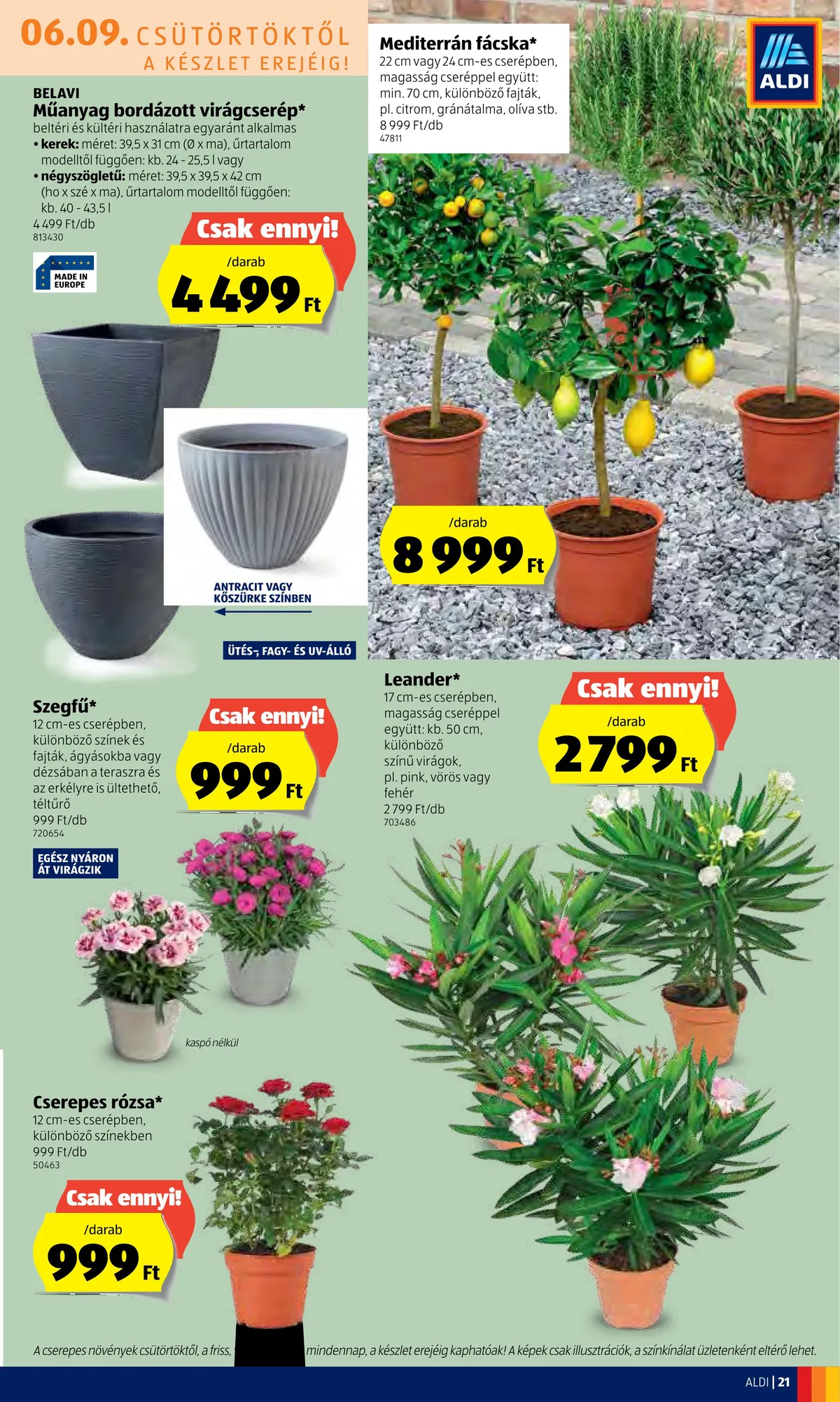 Aldi akciós újság 06.09–06.15 – 21. oldal