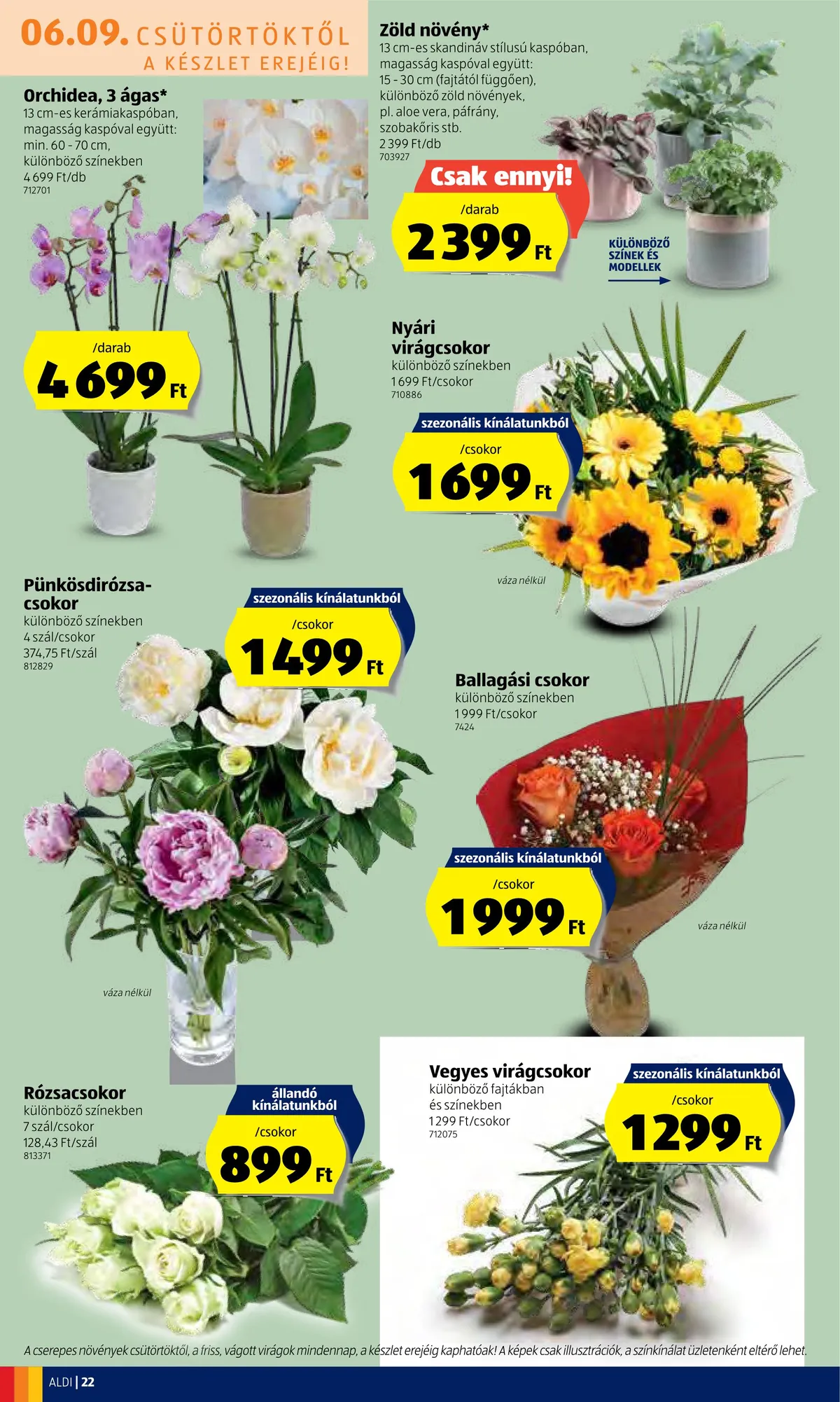 Aldi akciós újság 06.09–06.15 – 22. oldal