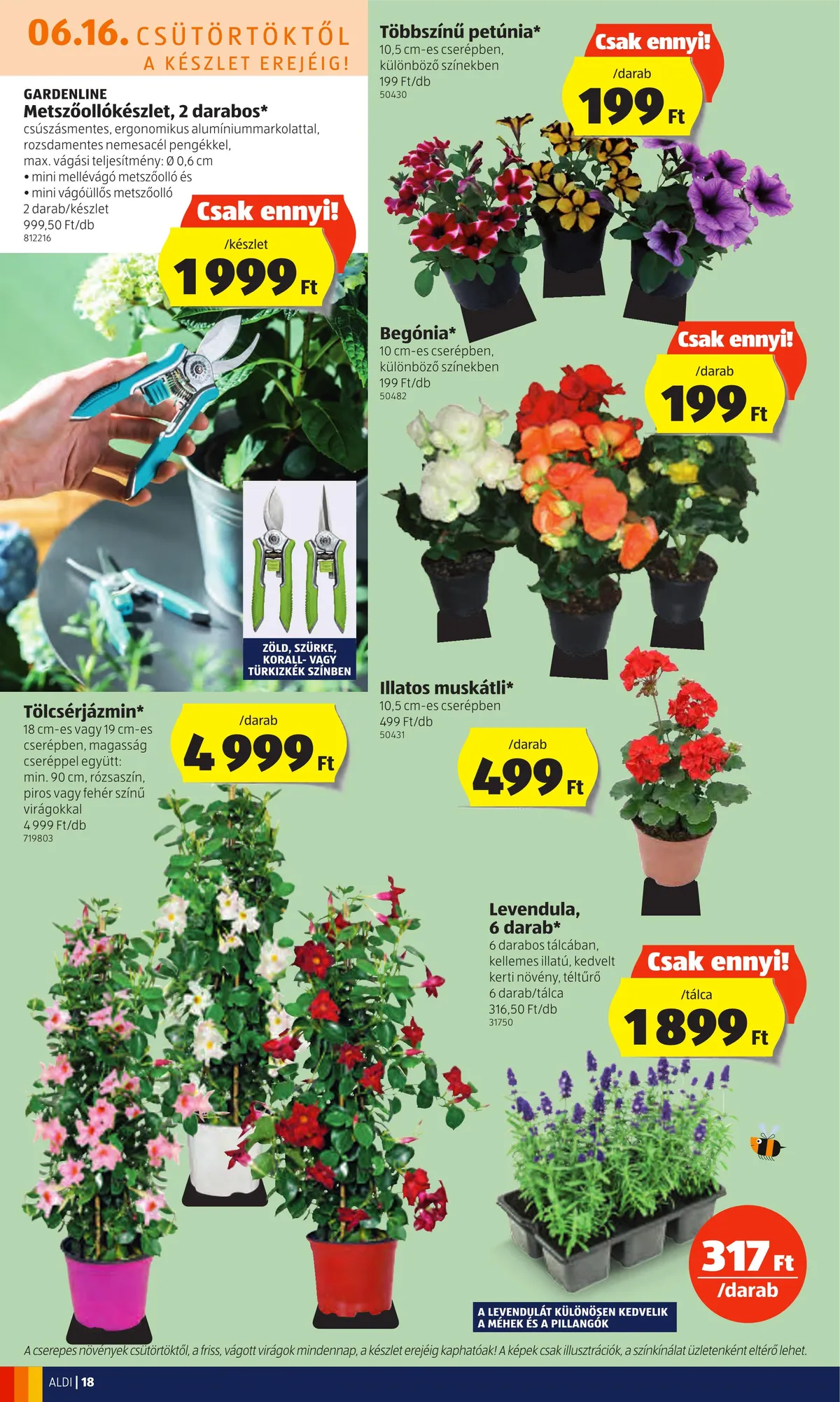 Aldi akciós újság 06.16–06.22 – 18. oldal