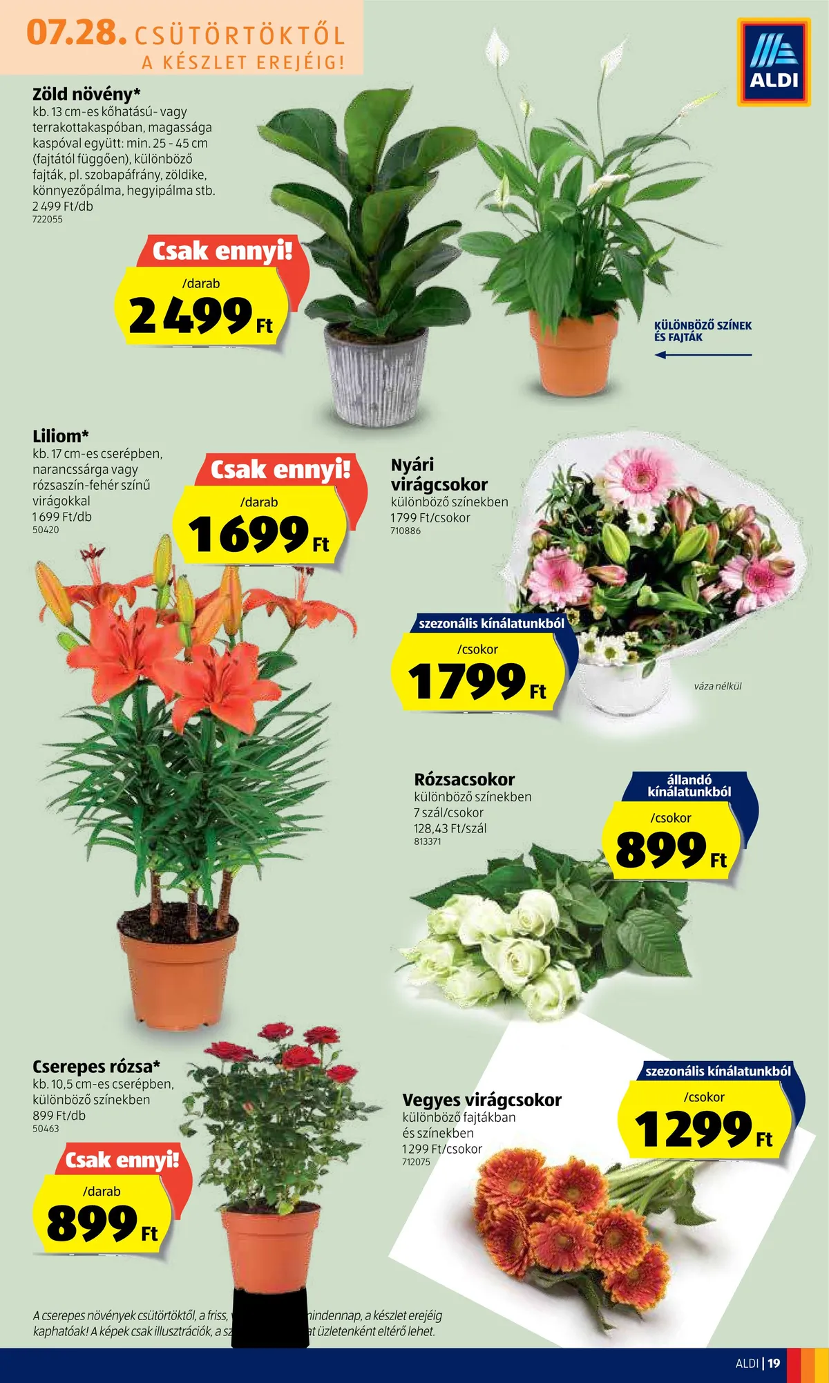 Aldi akciós újság 07.28–08.03 – 19. oldal