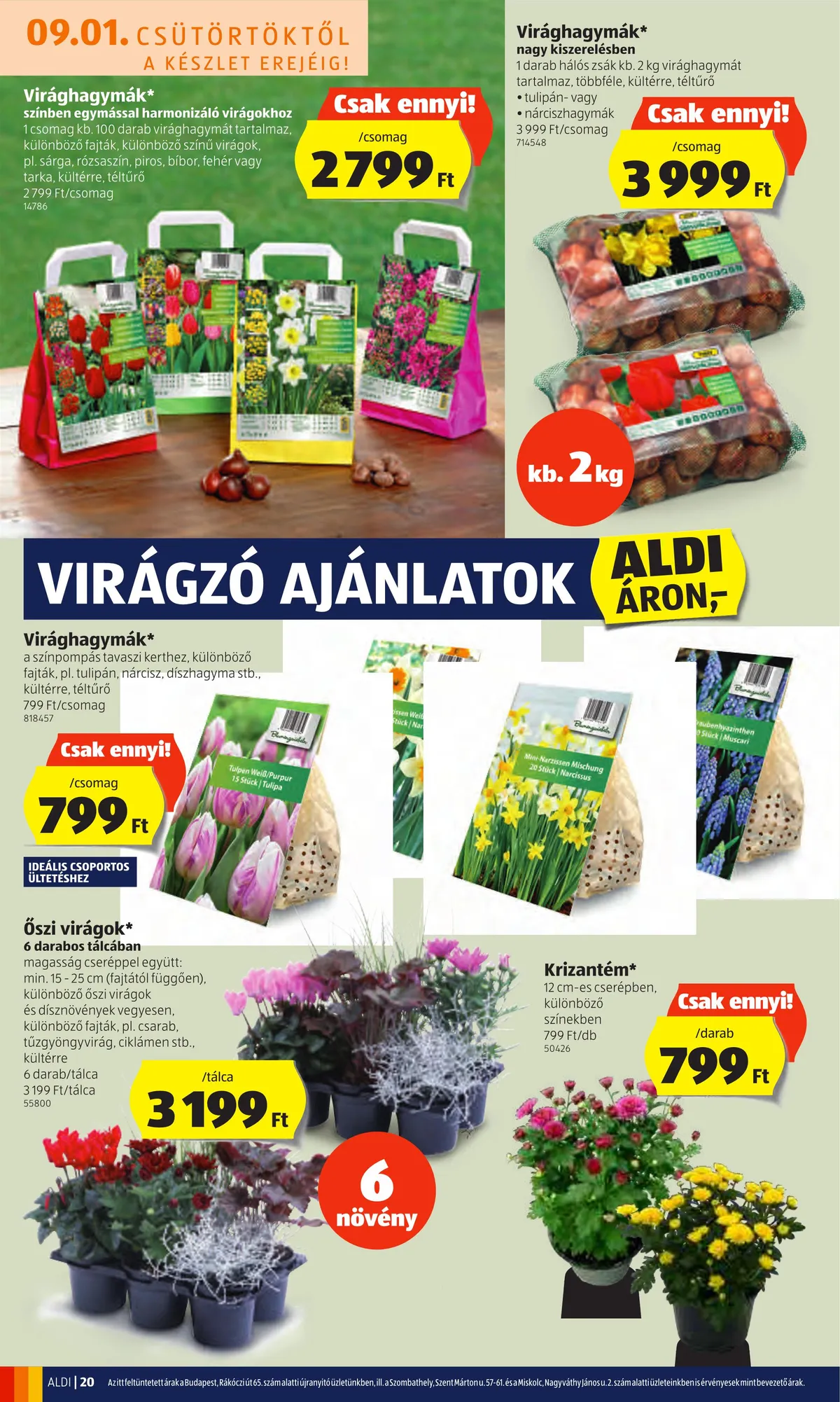 Aldi akciós újság 09.01–09.07 – 20. oldal