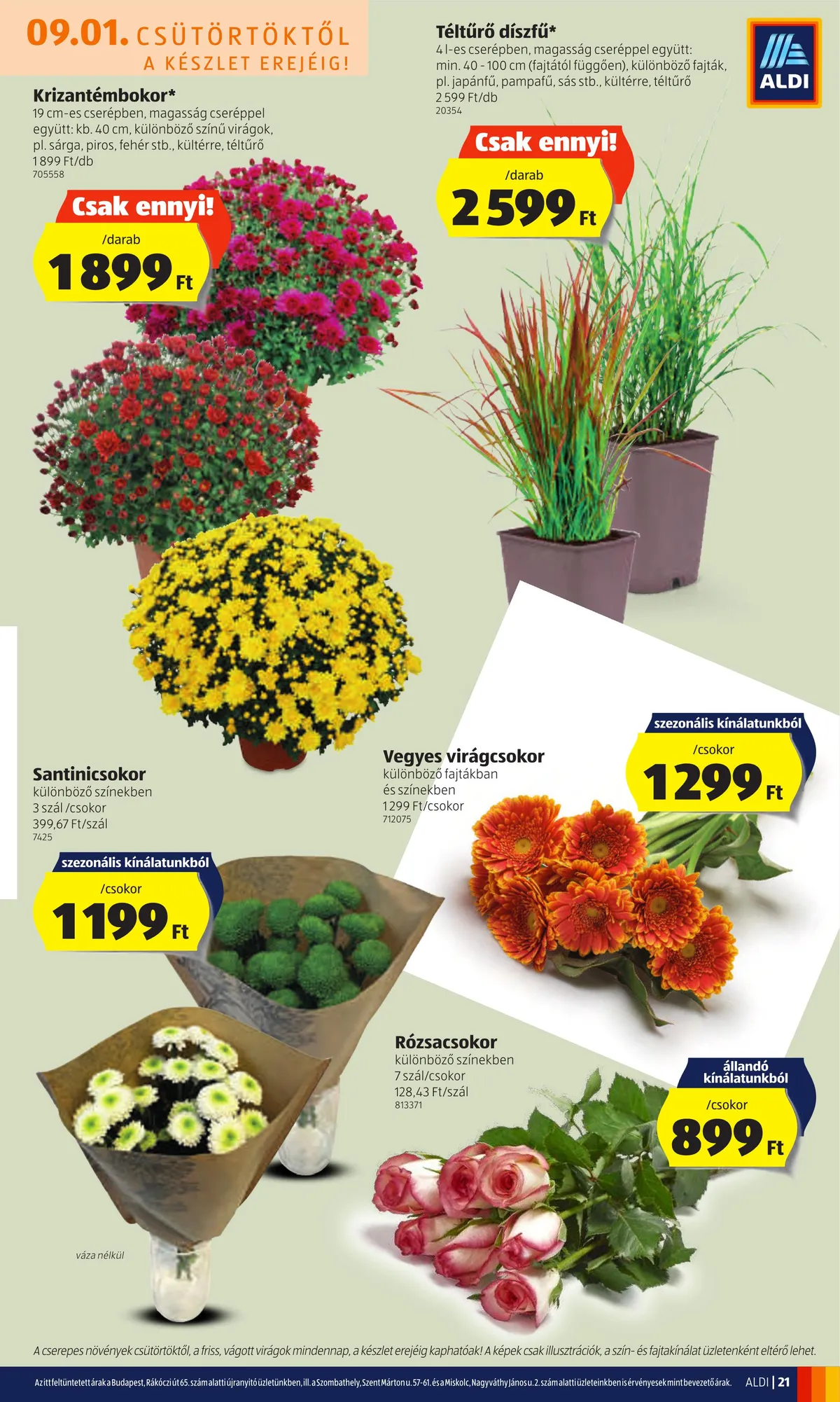 Aldi akciós újság 09.01–09.07 – 21. oldal