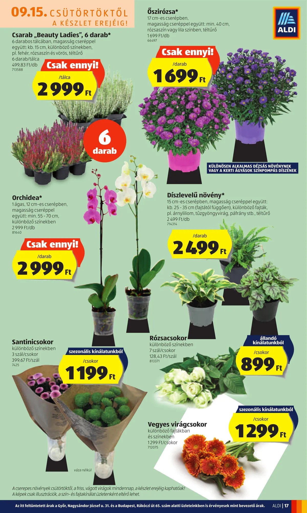 Aldi akciós újság 09.15–09.21 – 17. oldal