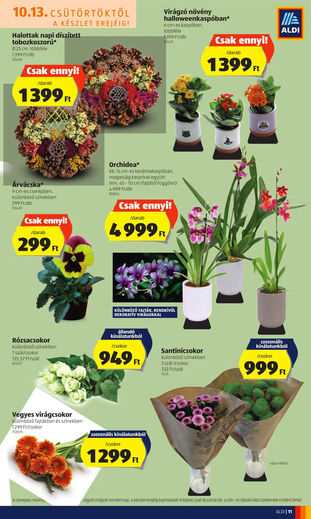 Aldi akciós újság 10.13–10.19 – 11. oldal