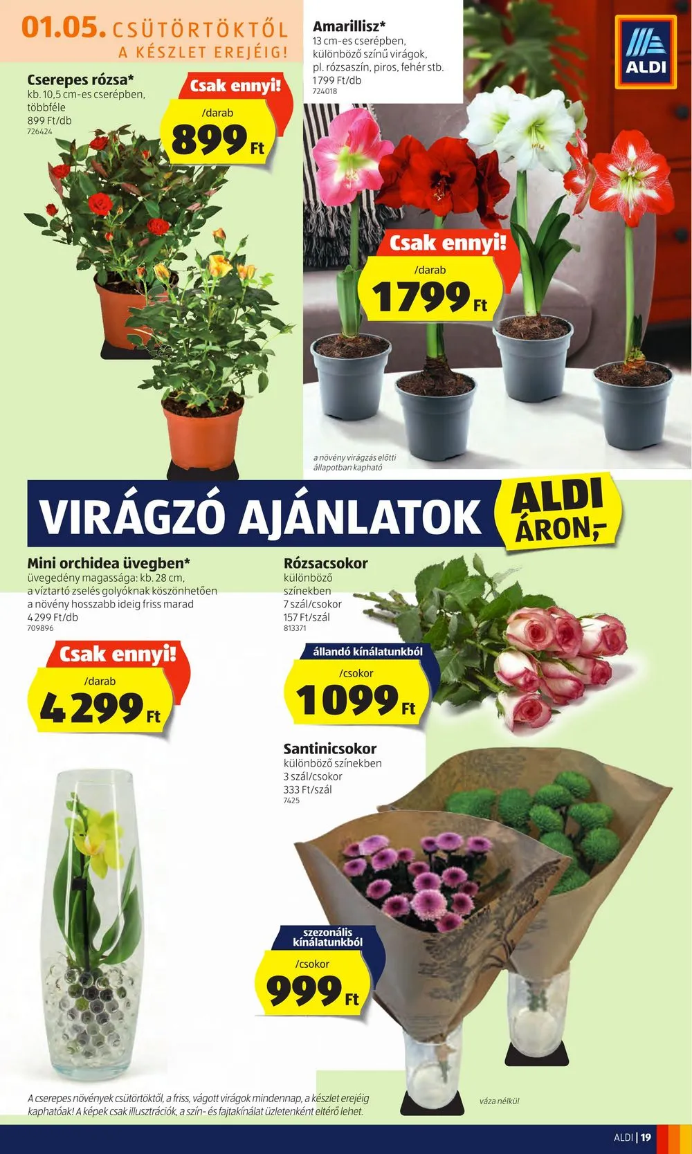 Aldi akciós újság 01.05–01.11 – 19. oldal