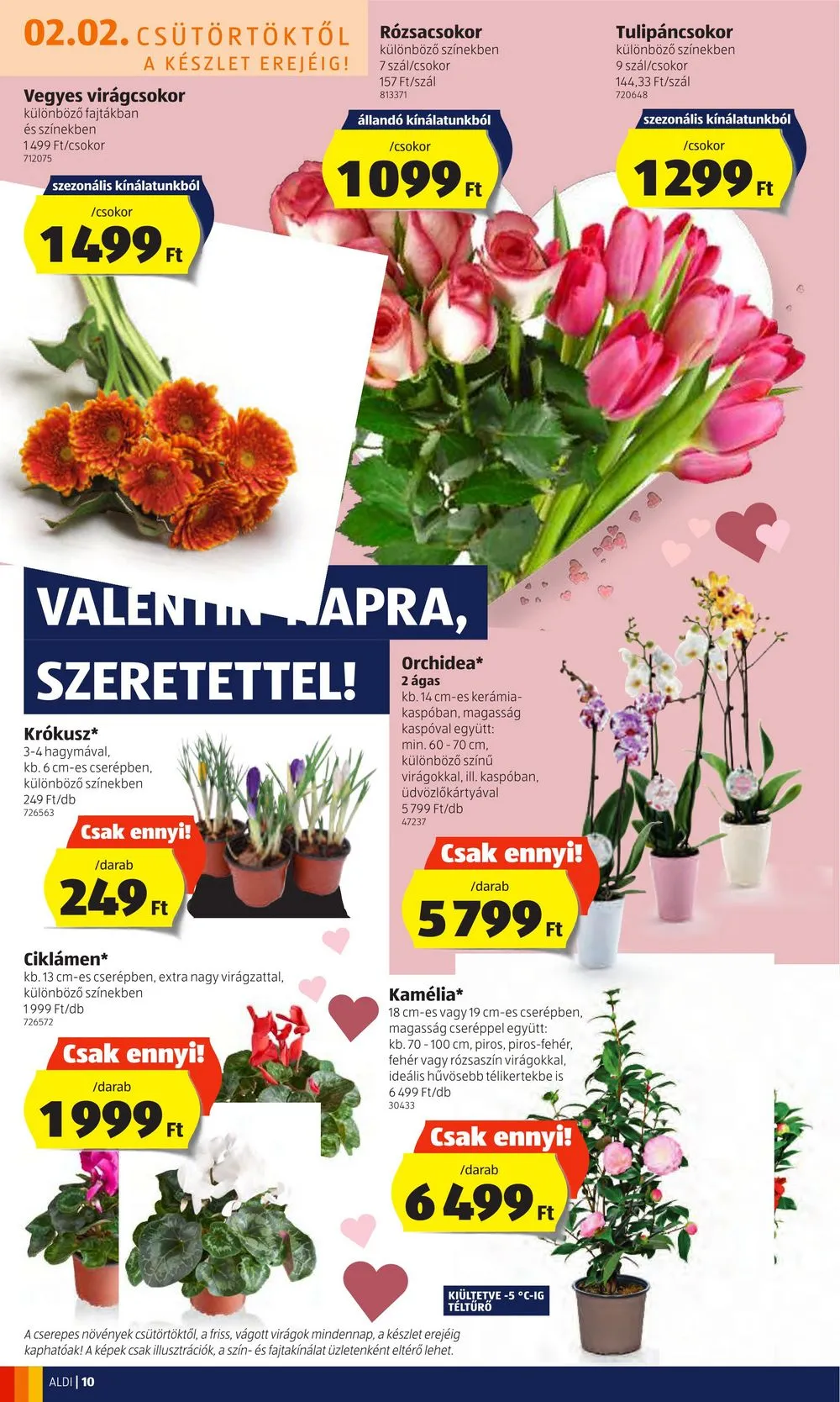 Aldi akciós újság 02.02–02.08 – 10. oldal