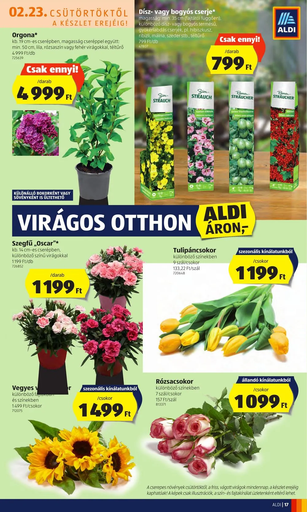Aldi akciós újság 02.23–03.01 – 17. oldal