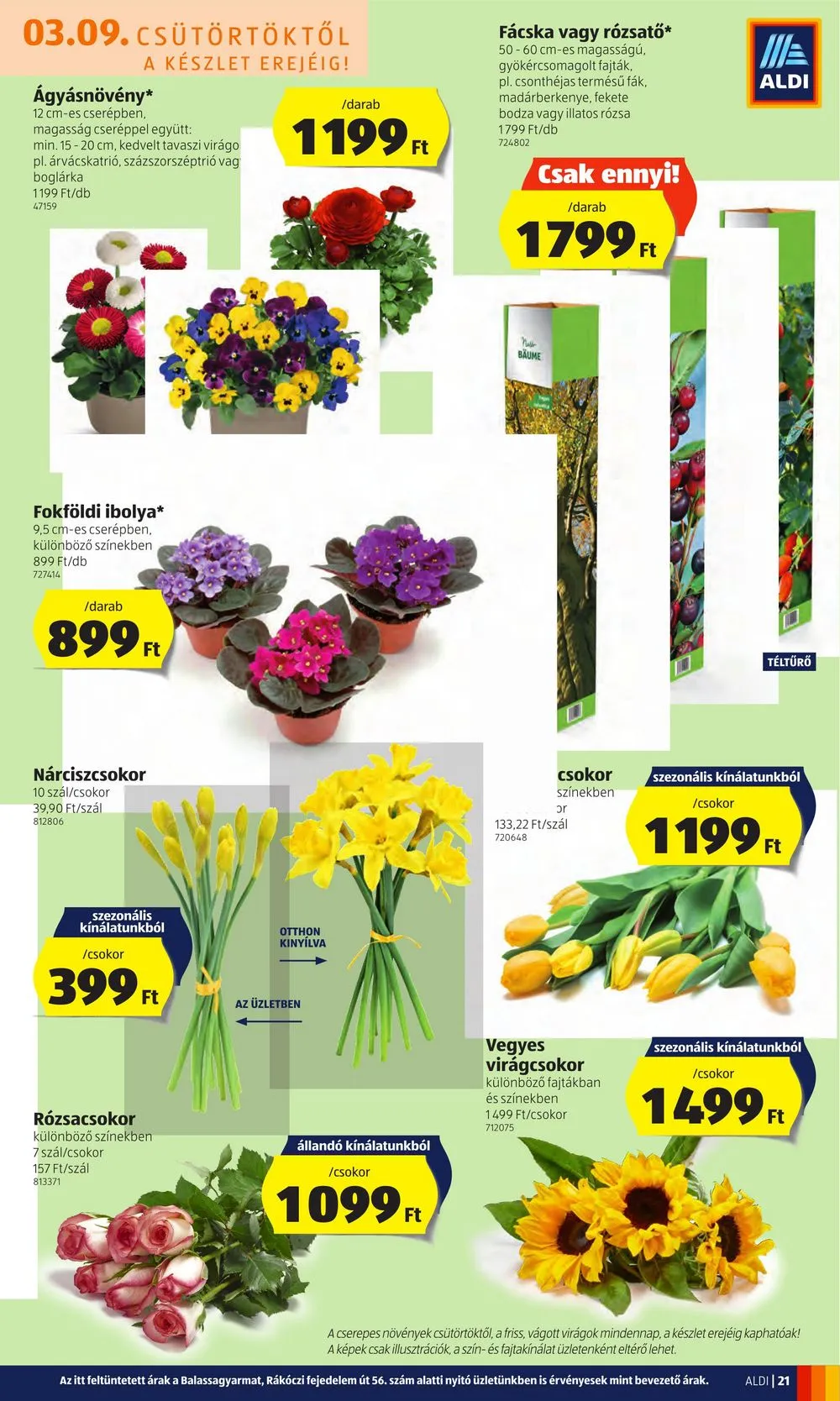 Aldi akciós újság 03.09–03.14 – 23. oldal