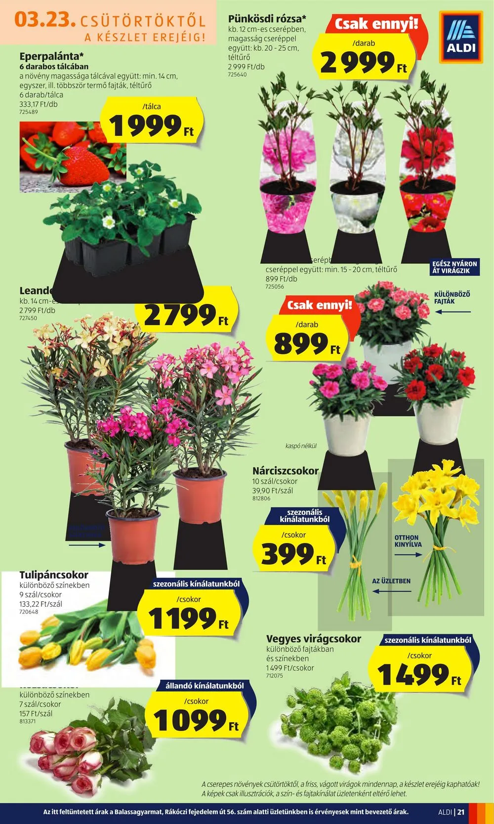 Aldi akciós újság 03.23–03.29 – 23. oldal