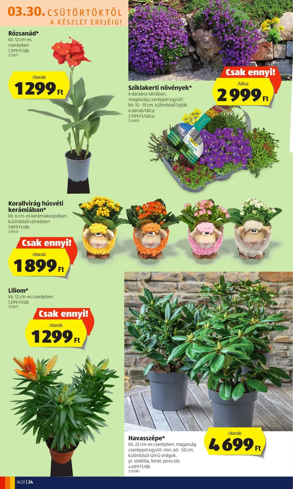 Aldi akciós újság 03.30–04.08 – 26. oldal