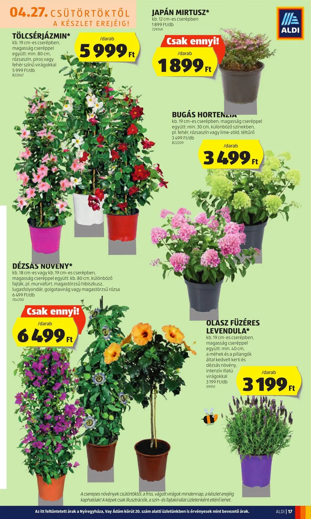 Aldi akciós újság 04.27–05.03 – 17. oldal