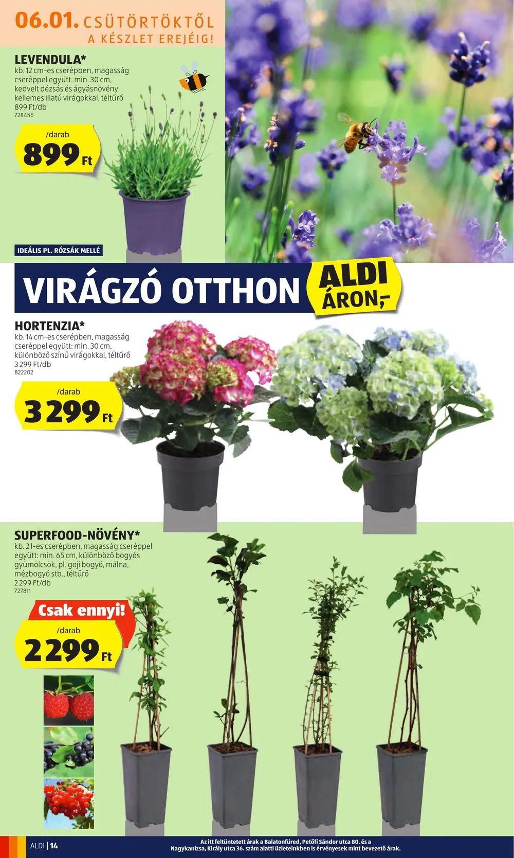 Aldi akciós újság 06.01–06.07 – 16. oldal