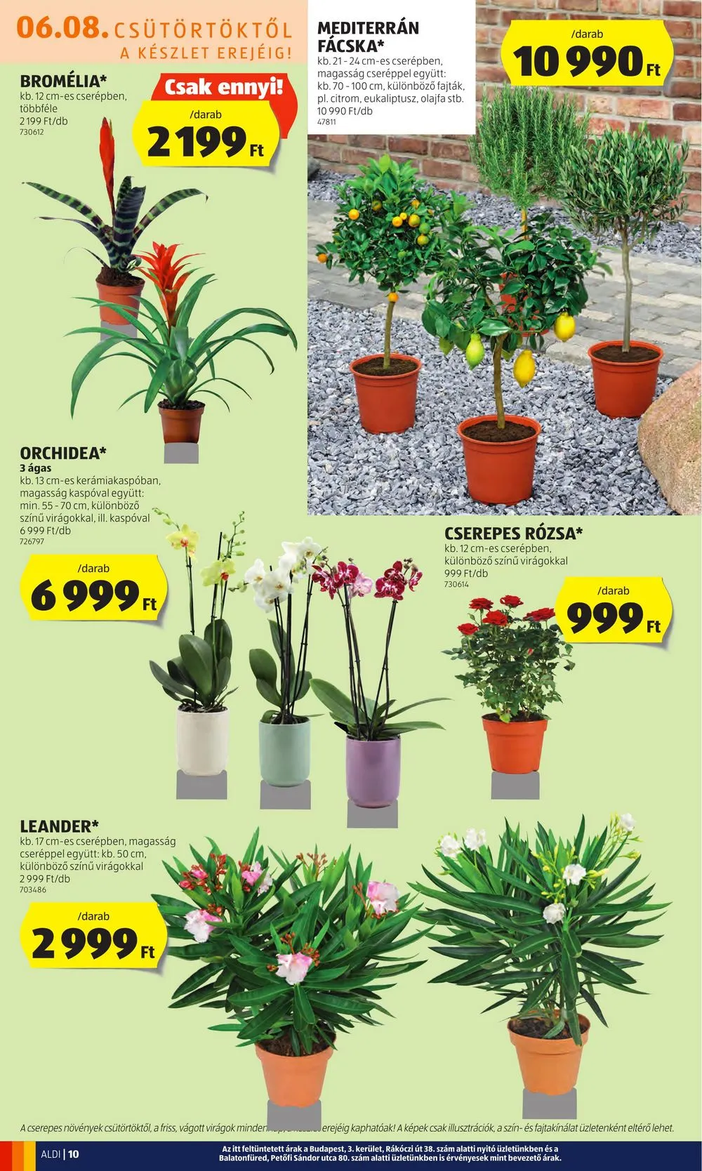 Aldi akciós újság 06.08–06.14 – 12. oldal
