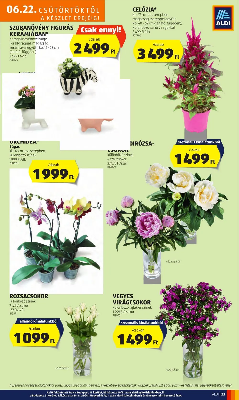 Aldi akciós újság 06.22–06.28 – 27. oldal