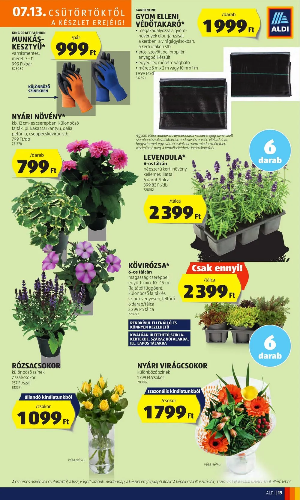 Aldi akciós újság 07.13–07.19 – 21. oldal