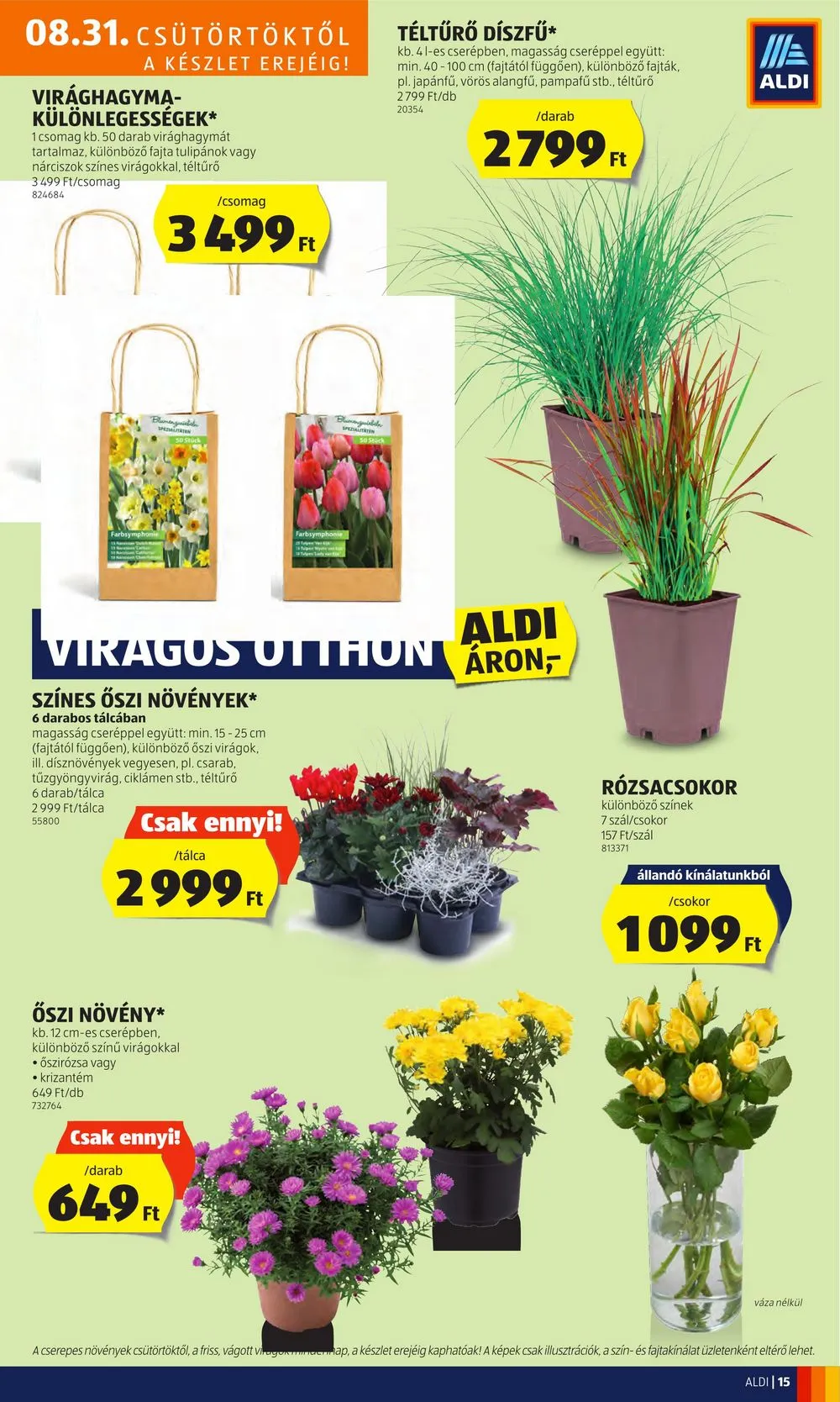 Aldi akciós újság 08.31–09.06 – 17. oldal