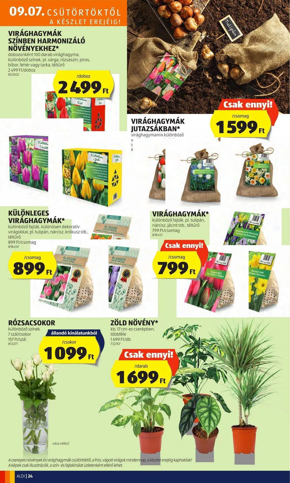 Aldi akciós újság 09.07–09.13 – 26. oldal