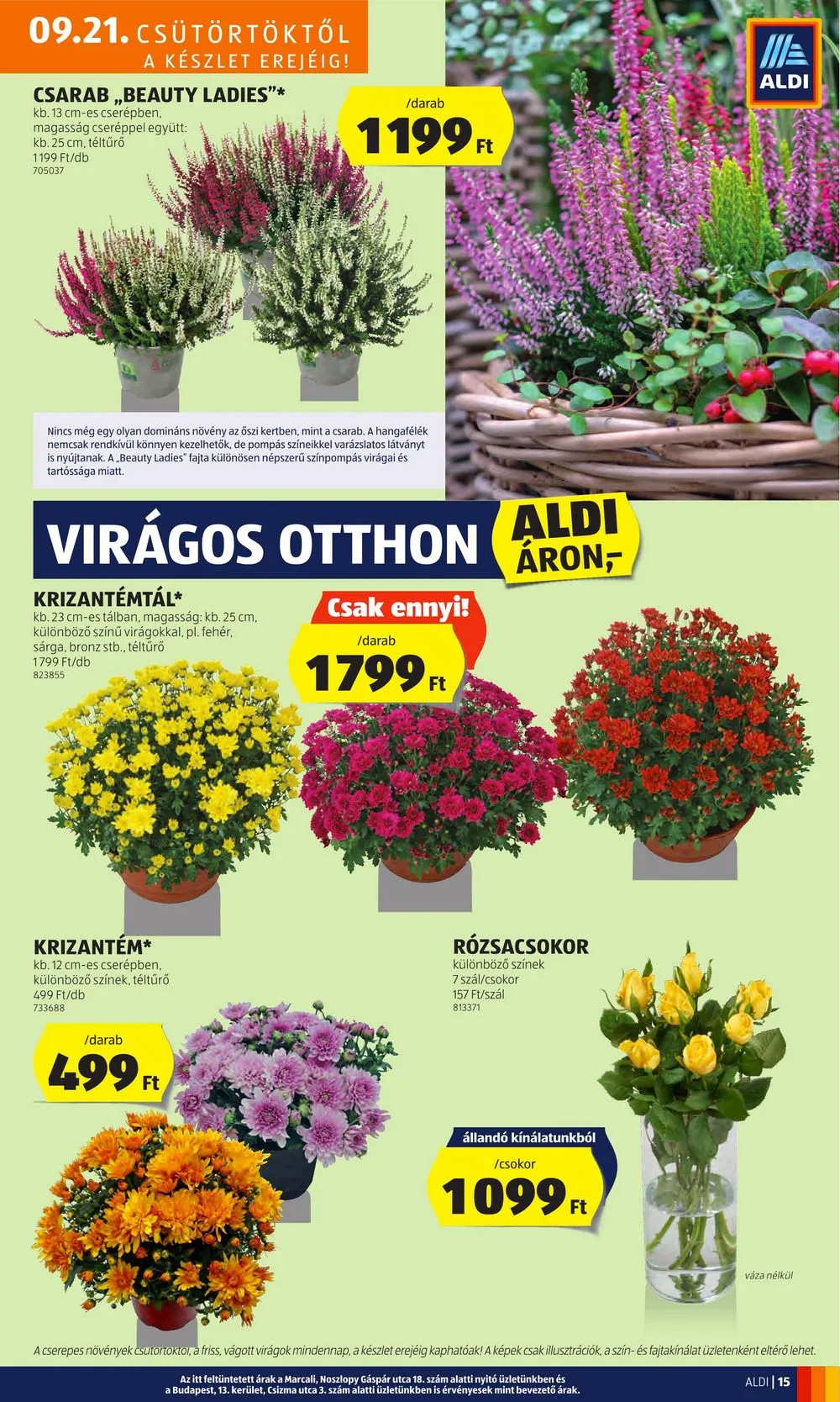 Aldi akciós újság 09.21–09.27 – 17. oldal
