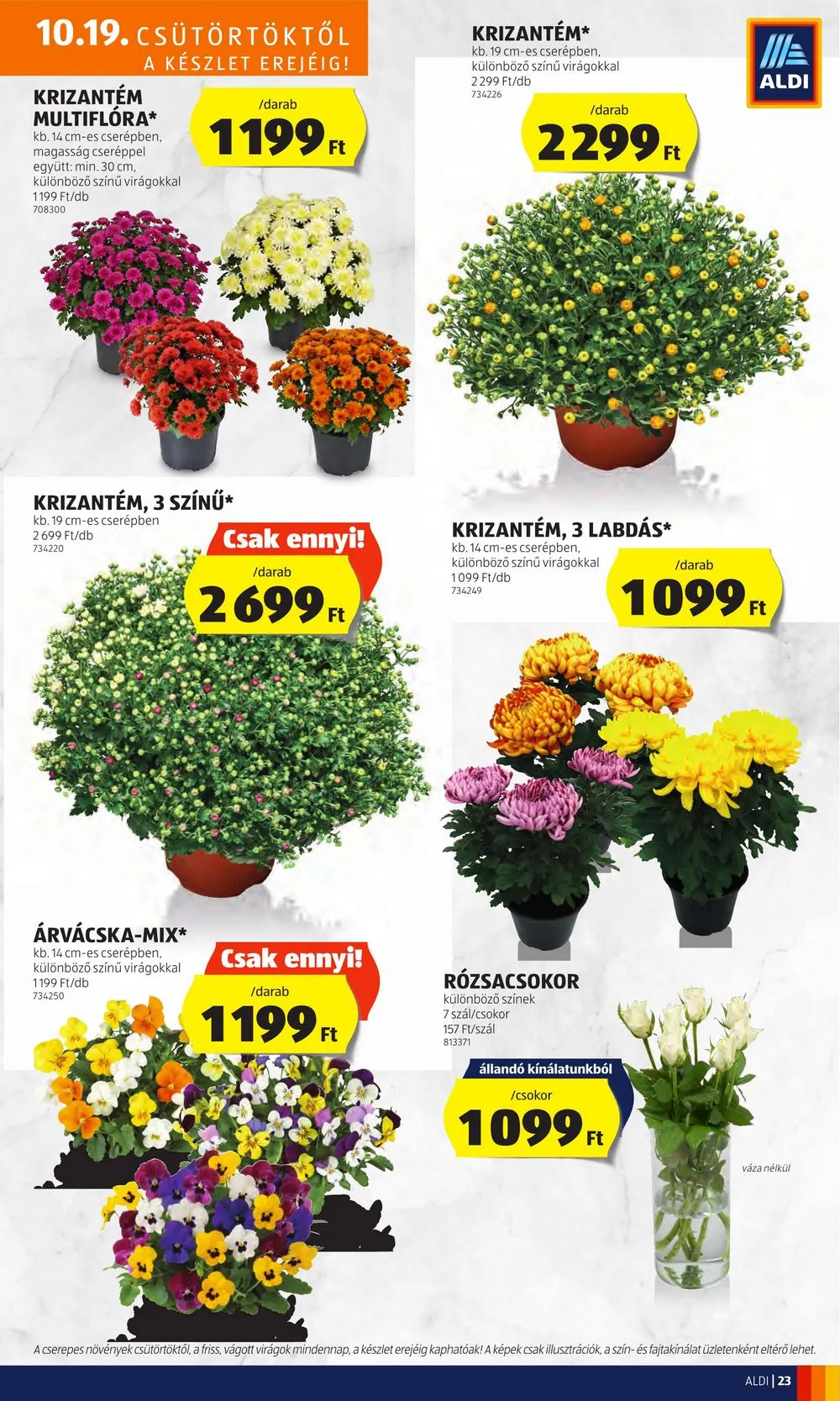 Aldi akciós újság 10.19–10.25 – 25. oldal