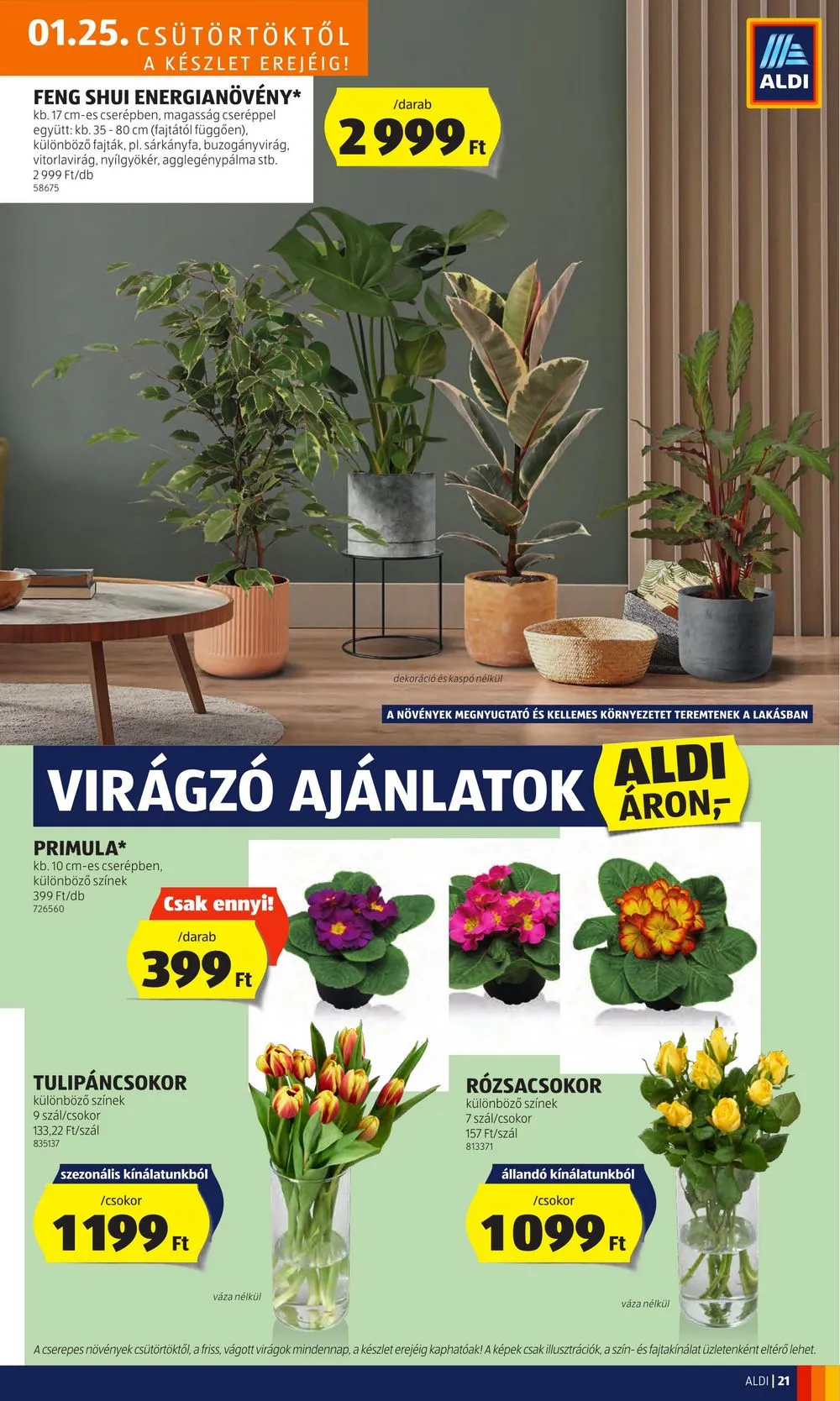 Aldi akciós újság 01.25–01.31 – 25. oldal