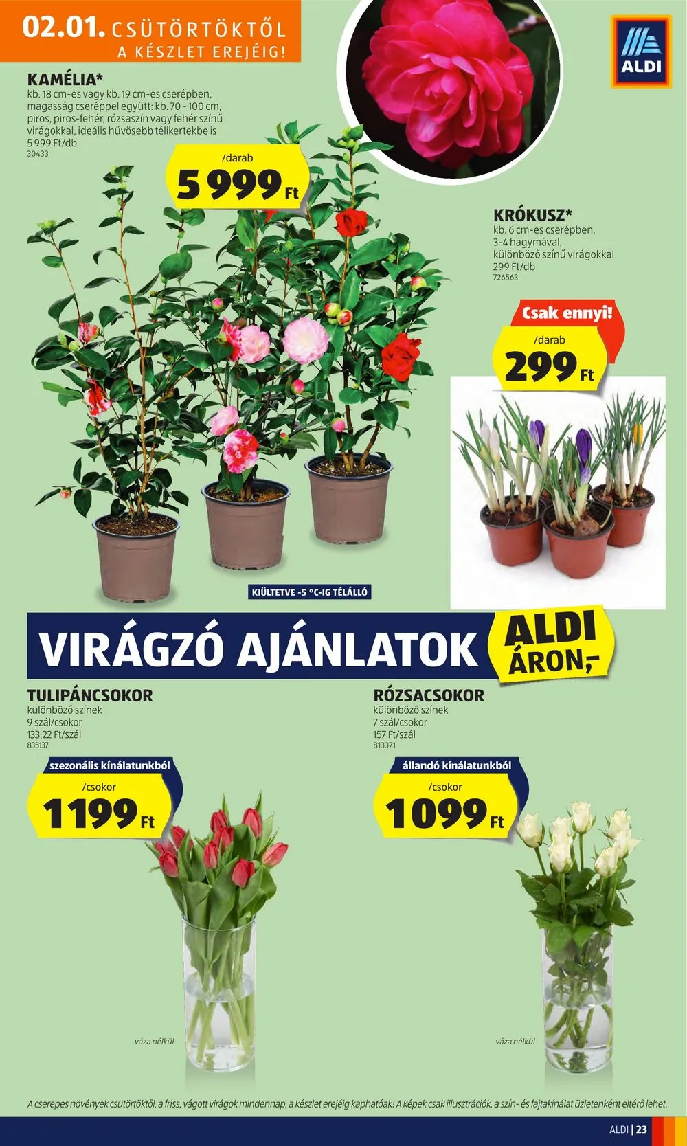 Aldi akciós újság 02.01–02.07 – 25. oldal
